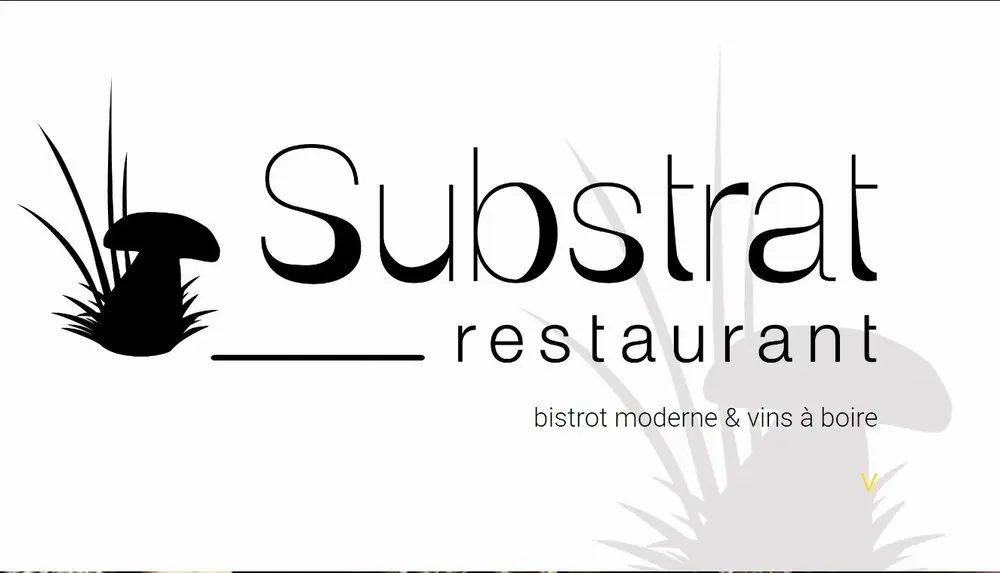 Substrat Restaurant - LYON (Rhône)