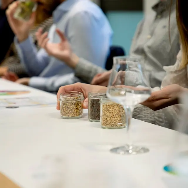 Dégustation de Bières Artisanales - NANTES (44)