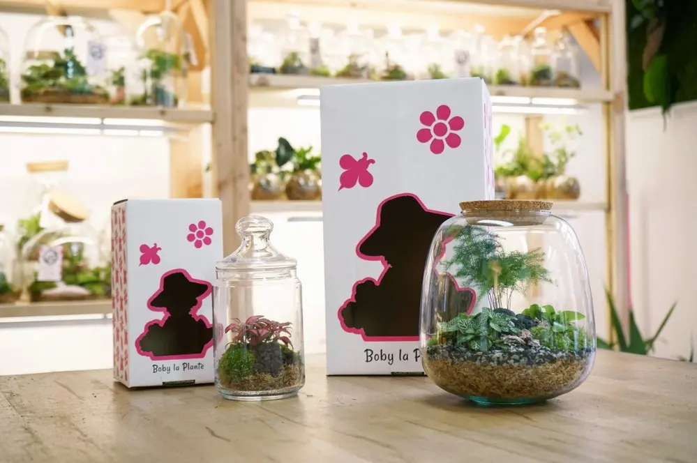 Boby La Plante - PARIS (Paris)