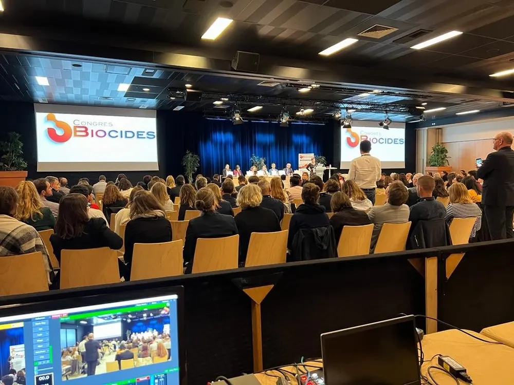 Yes We Stream - NICE (Alpes-Maritimes)