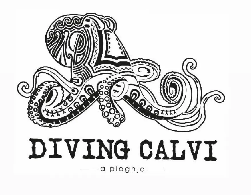 Diving Calvi - CALVI (Corse 2A-2B)