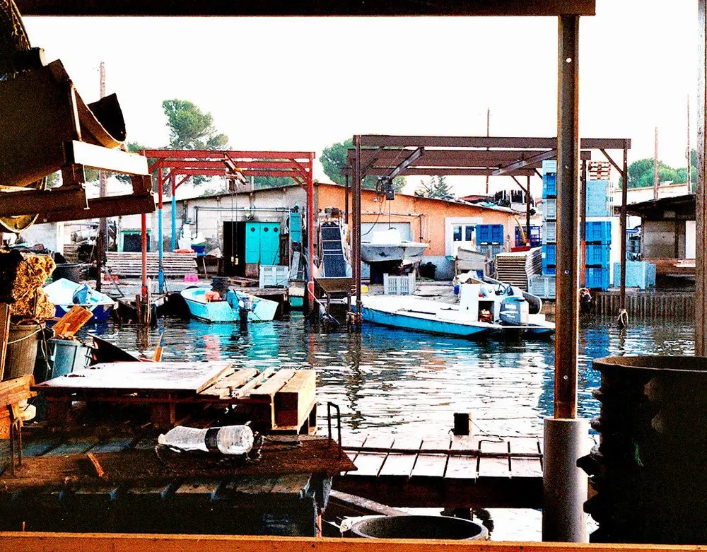 Le Mas Soula - Les Huîtres Soula - MEZE (Hérault)