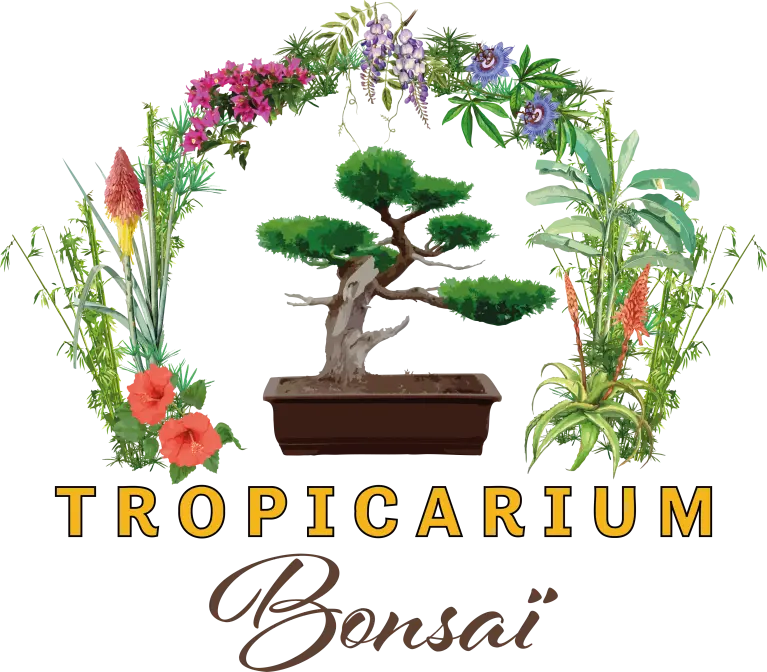 Tropicarium Bonsaï - LA BAULE (Loire-Atlantique)