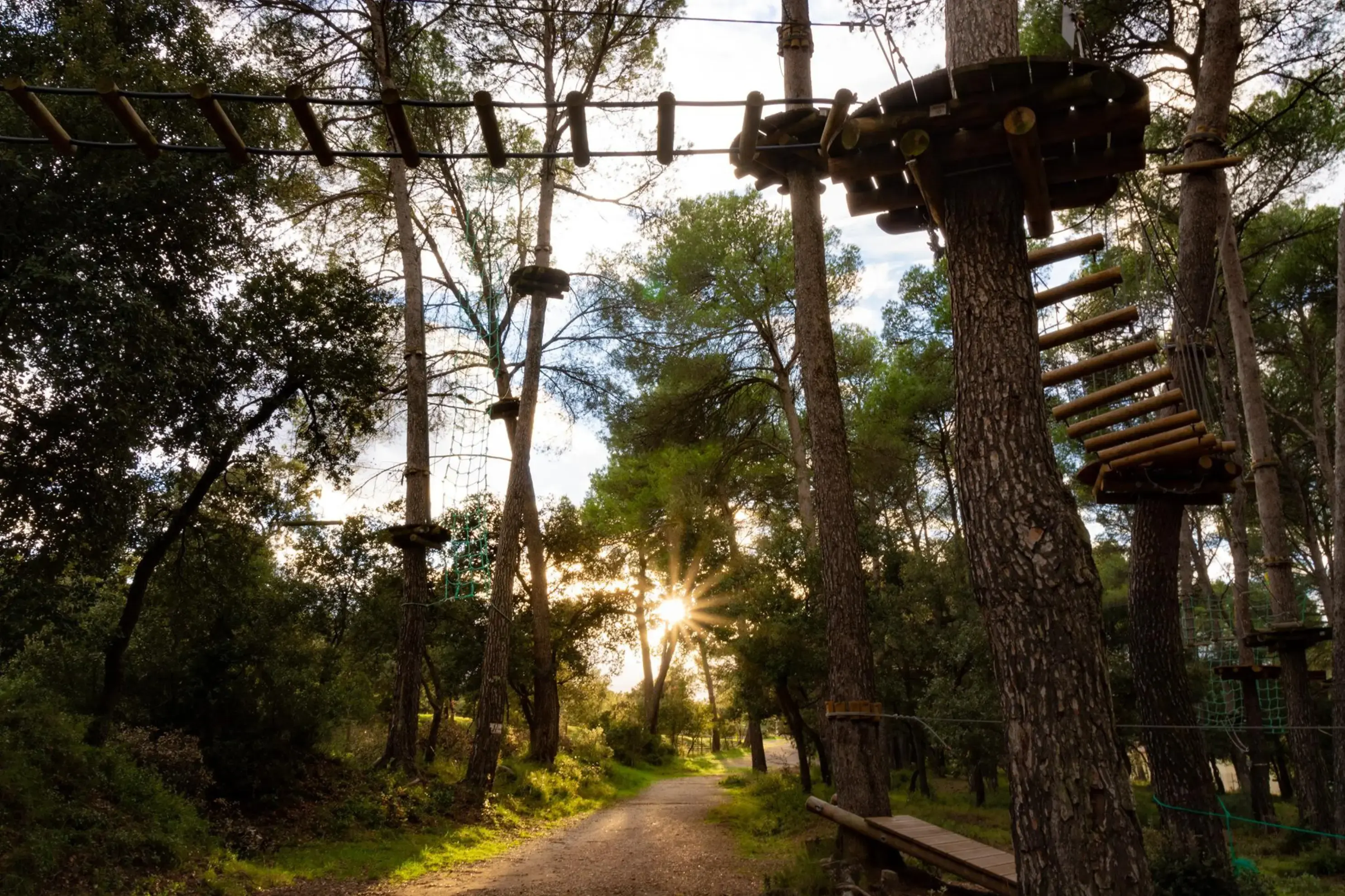 Le Royaume des Arbres - LE CASTELLET (Var)