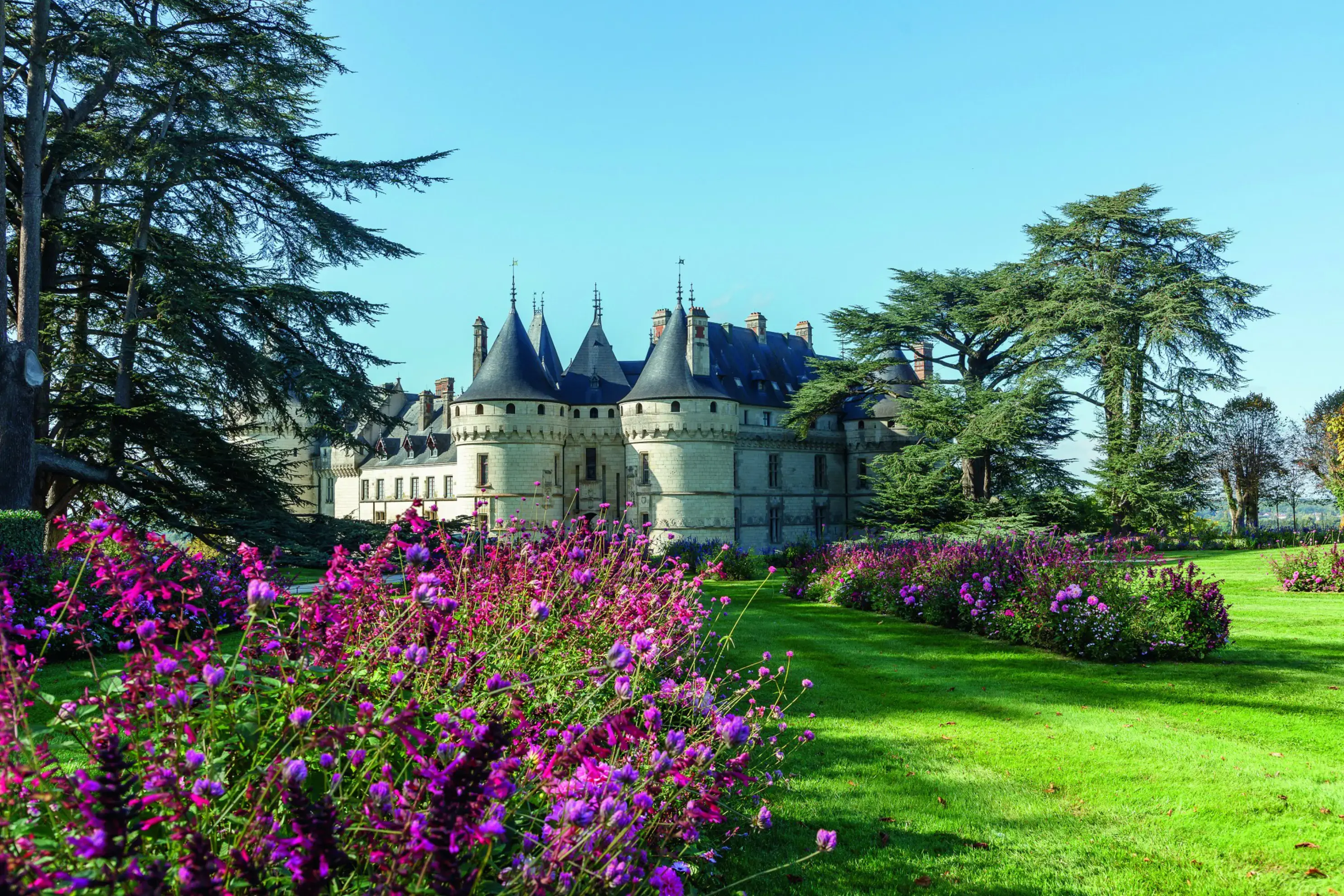 Domaine de Chaumont-sur-Loire - CHAUMONT-SUR-LOIRE (Loir-et-Cher)