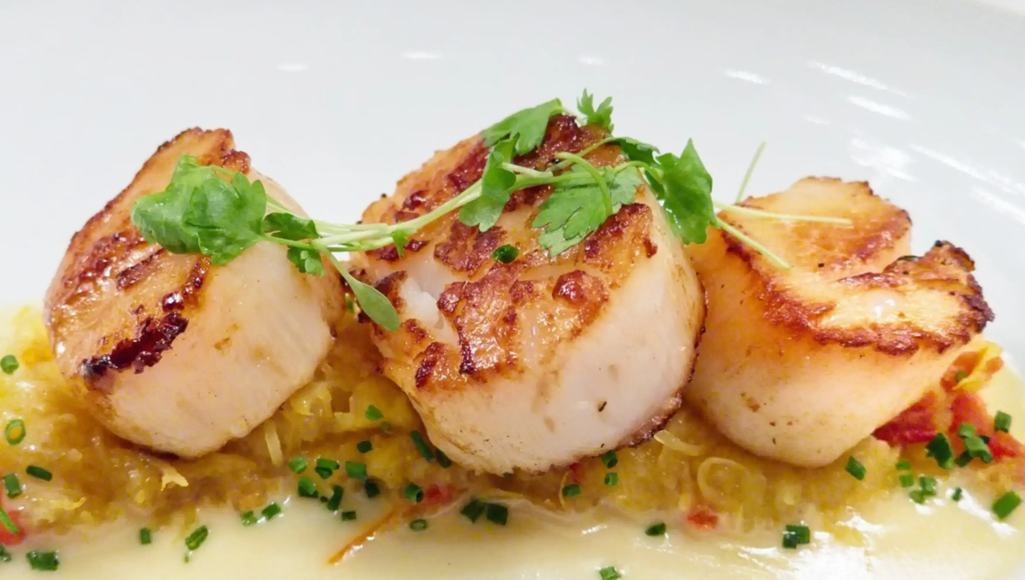 Delicatessen Traiteur - MONCHY-HUMIÈRES (Oise)