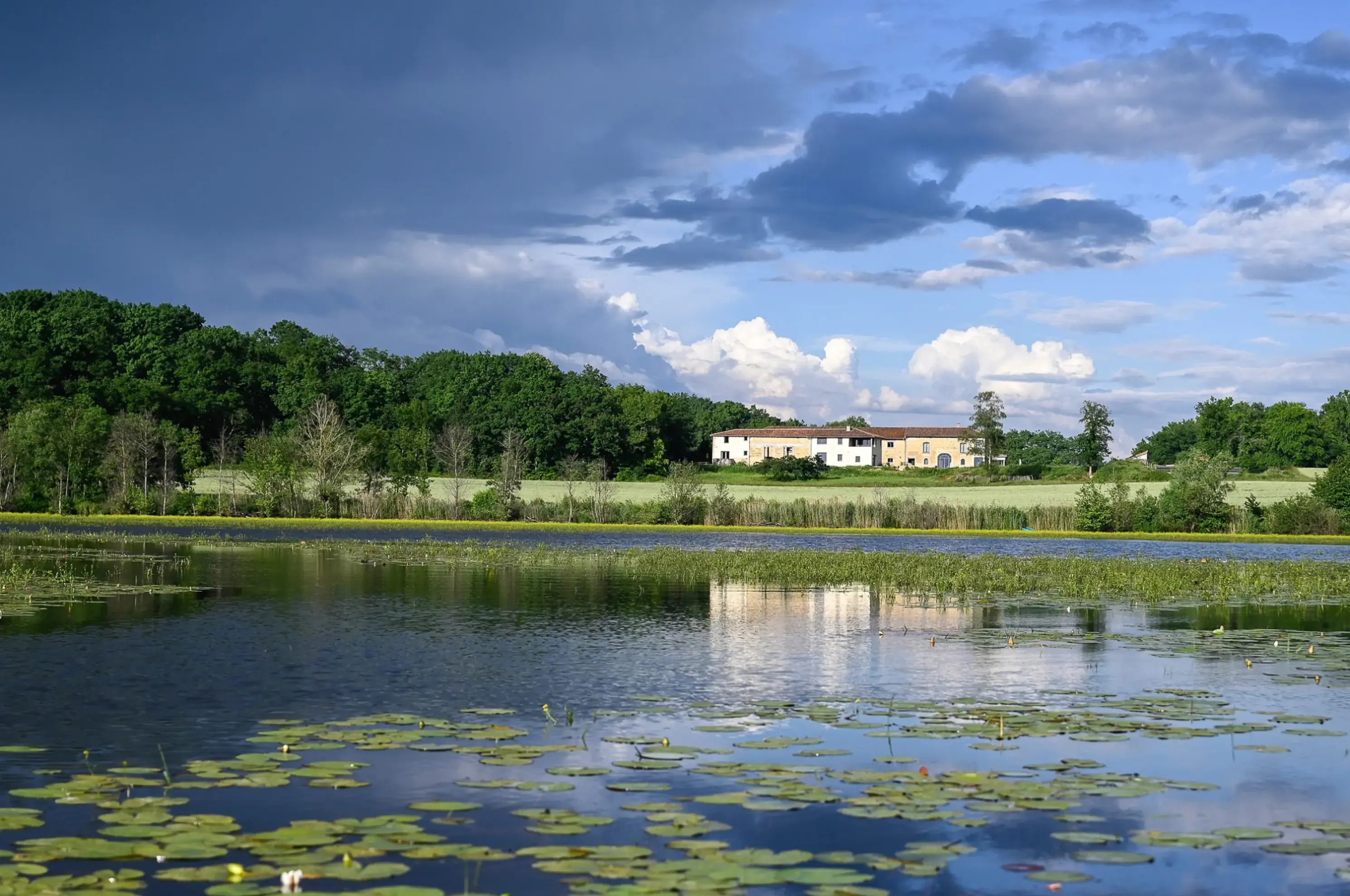 Domaine de la Flandrine - DOMPIERRE-SUR-VEYLE (Ain)