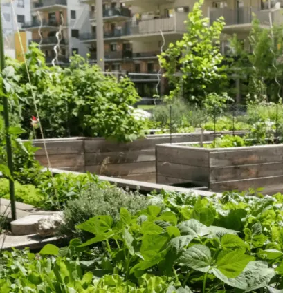 Responsabilité – Atelier Infusions & Plantes Aromatiques avec Fraise & Ciboulette - Grenoble (38)
