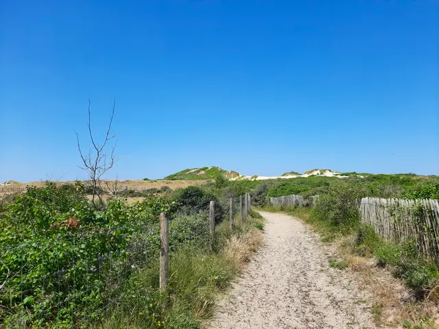 Randonnée mystère des Dunes du Royon - MIANNAY (80)