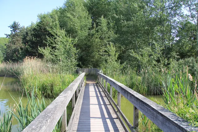 Chasse au trésor du Lac de Belle Dune - MIANNAY (80)