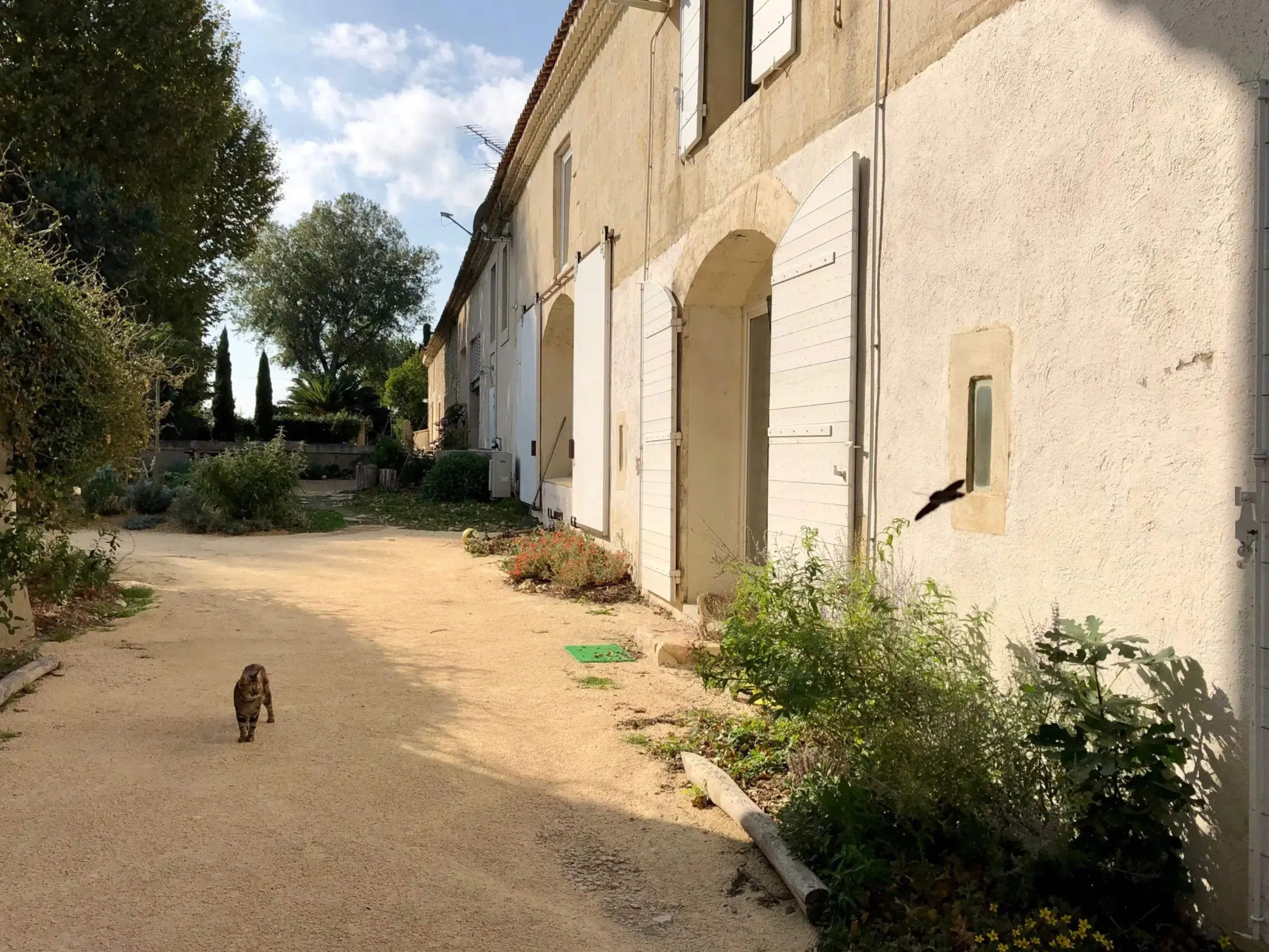 La Bergerie de la Place - ARLES (Bouches-du-Rhône)