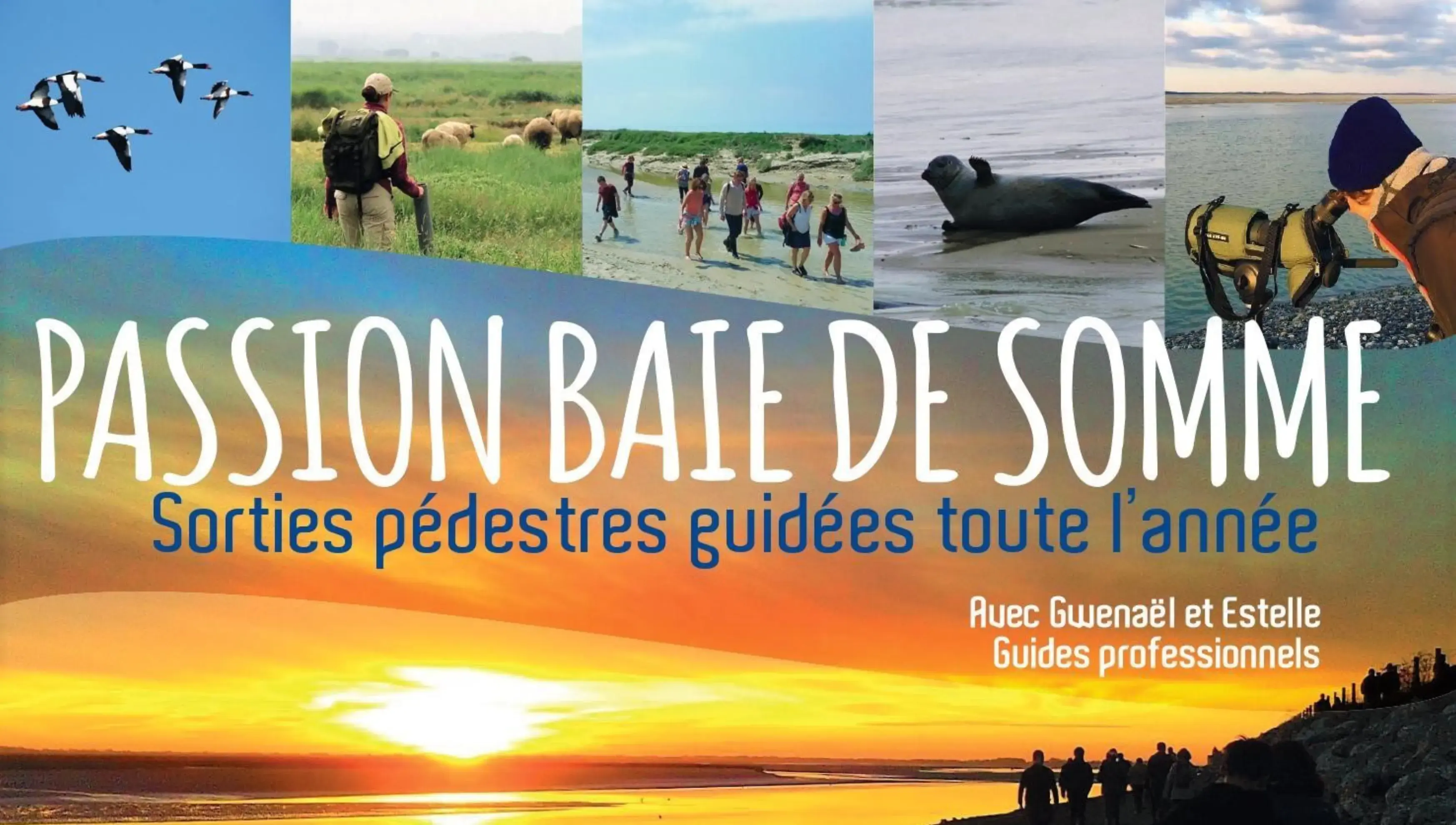 Passion Baie de Somme - PONTHOILE (Somme)