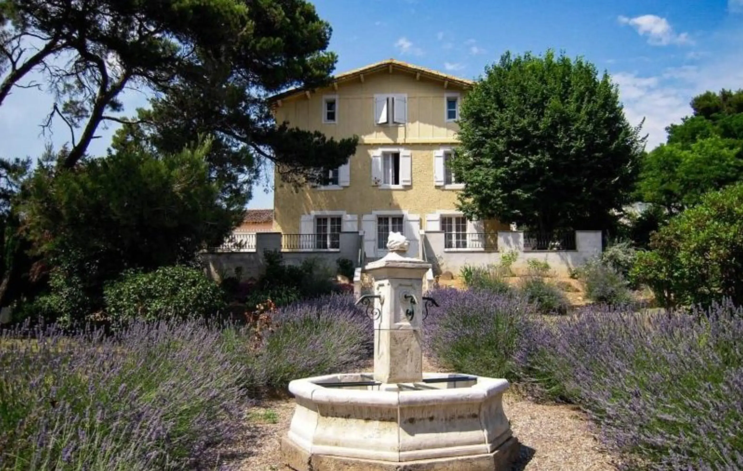 Château Borie Neuve - Badens (Aude)