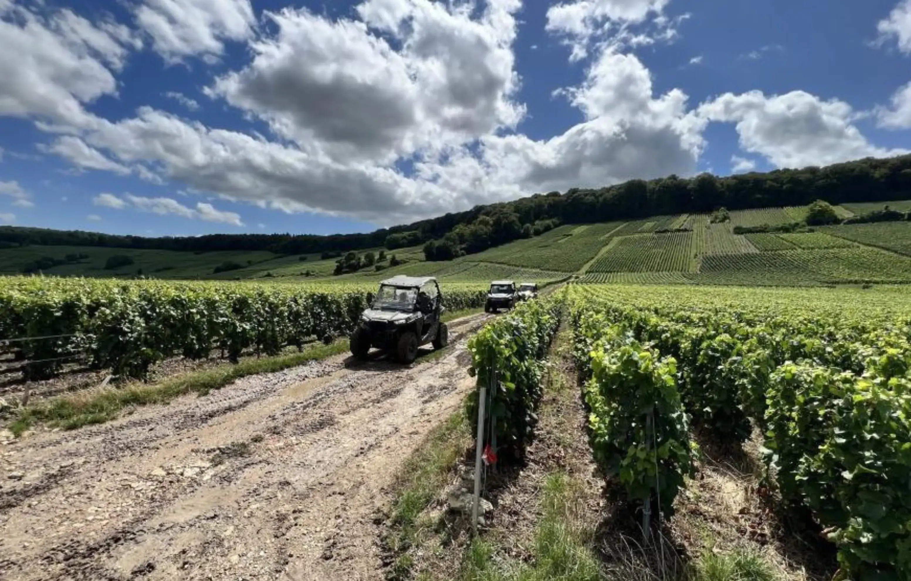 Festi'Vallée - FESTIGNY (Marne)