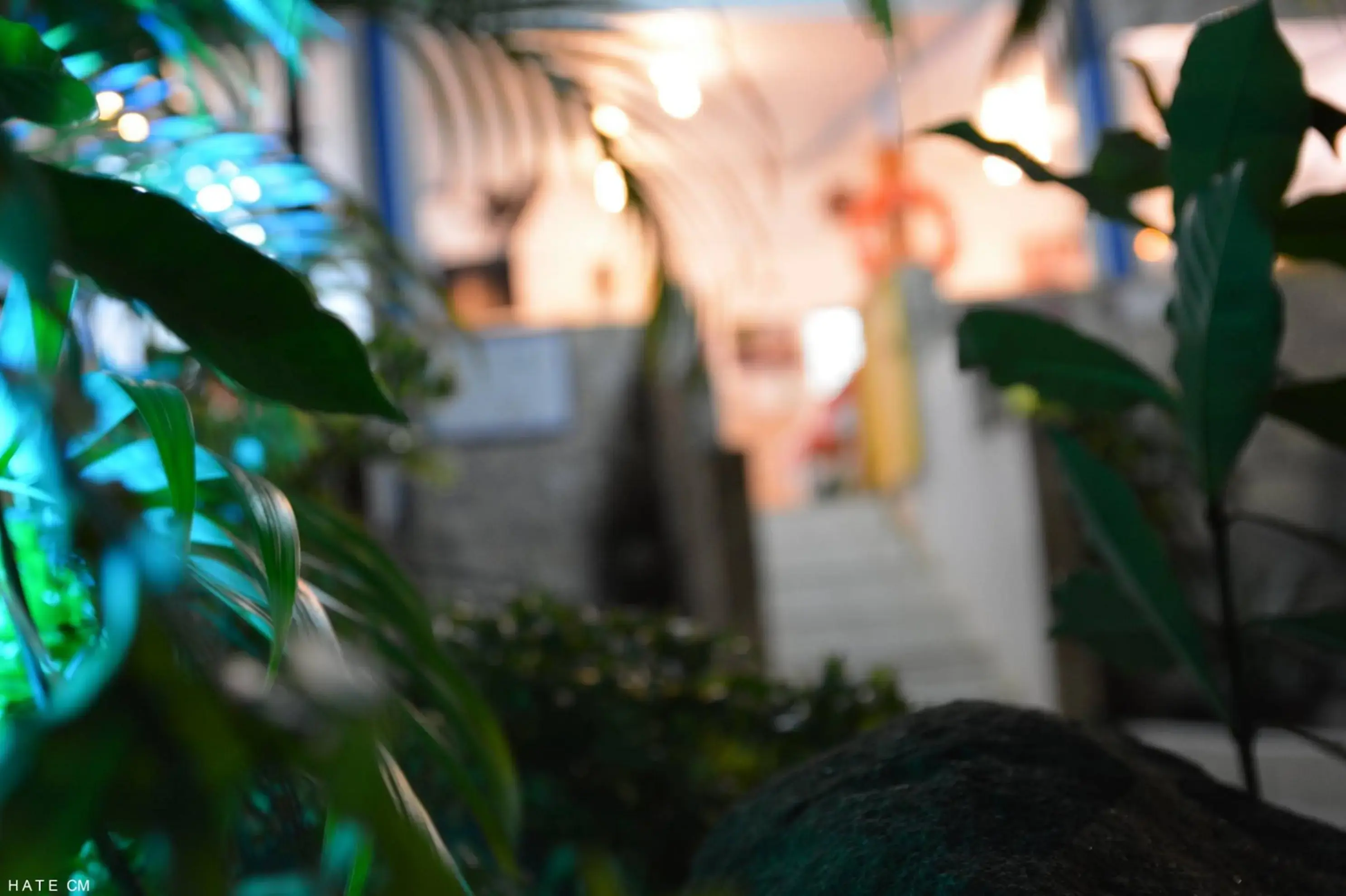 Restaurant Kaï Nono - LE FRANÇOIS (Martinique)