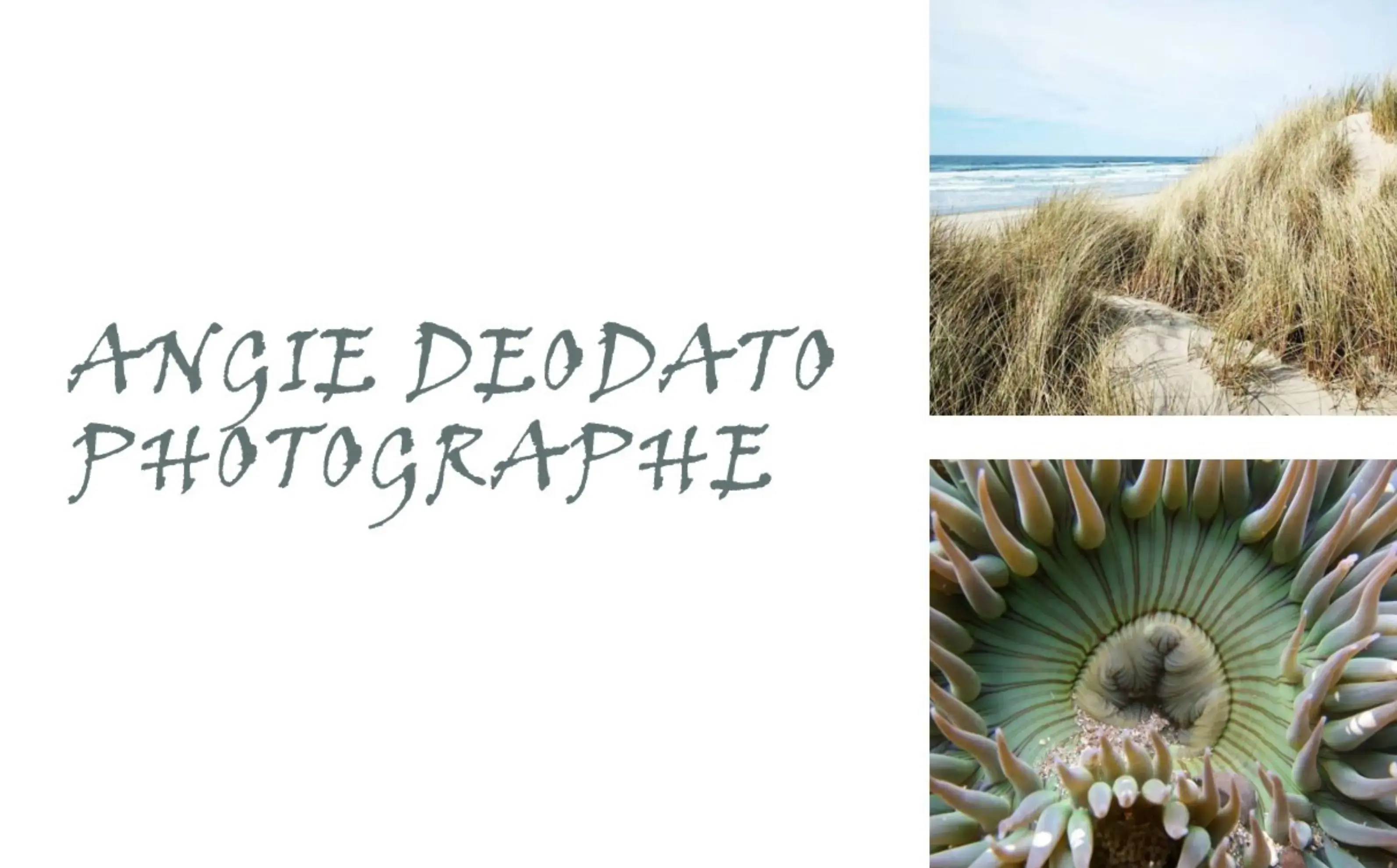 Angie Deodato photographe - BERGERAC (Dordogne)