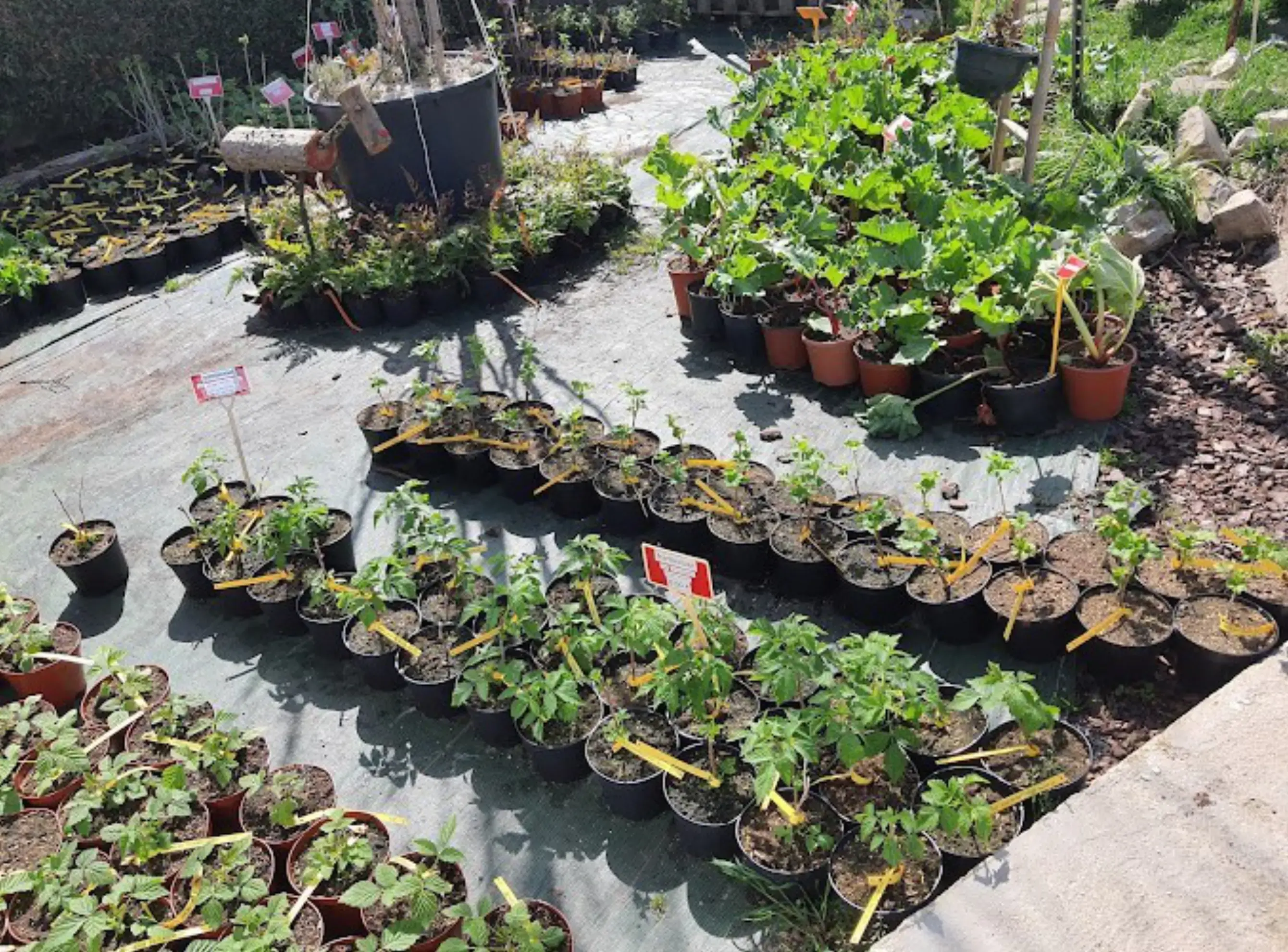 Esat Vivre - CHÂTENAY-MALABRY (Hauts-de-Seine)