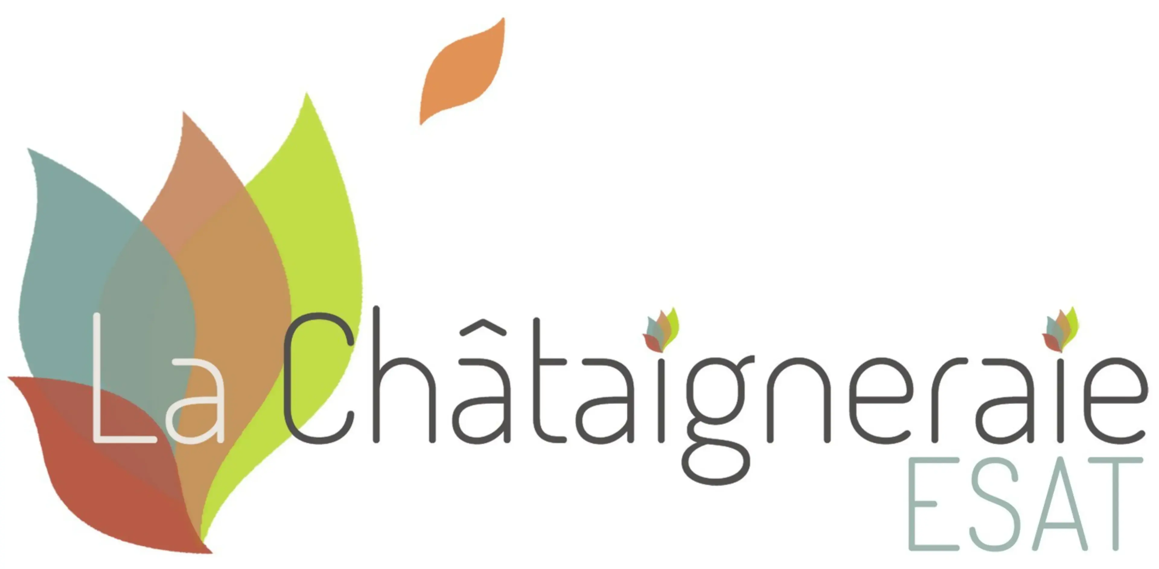 ESAT - La Châtaigneraie - YERRES (Essonne)