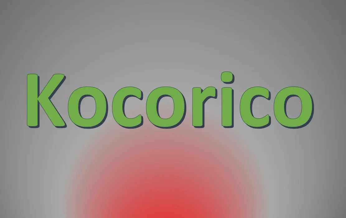 Kocorico - LEVALLOIS-PERRET (Hauts-de-Seine)