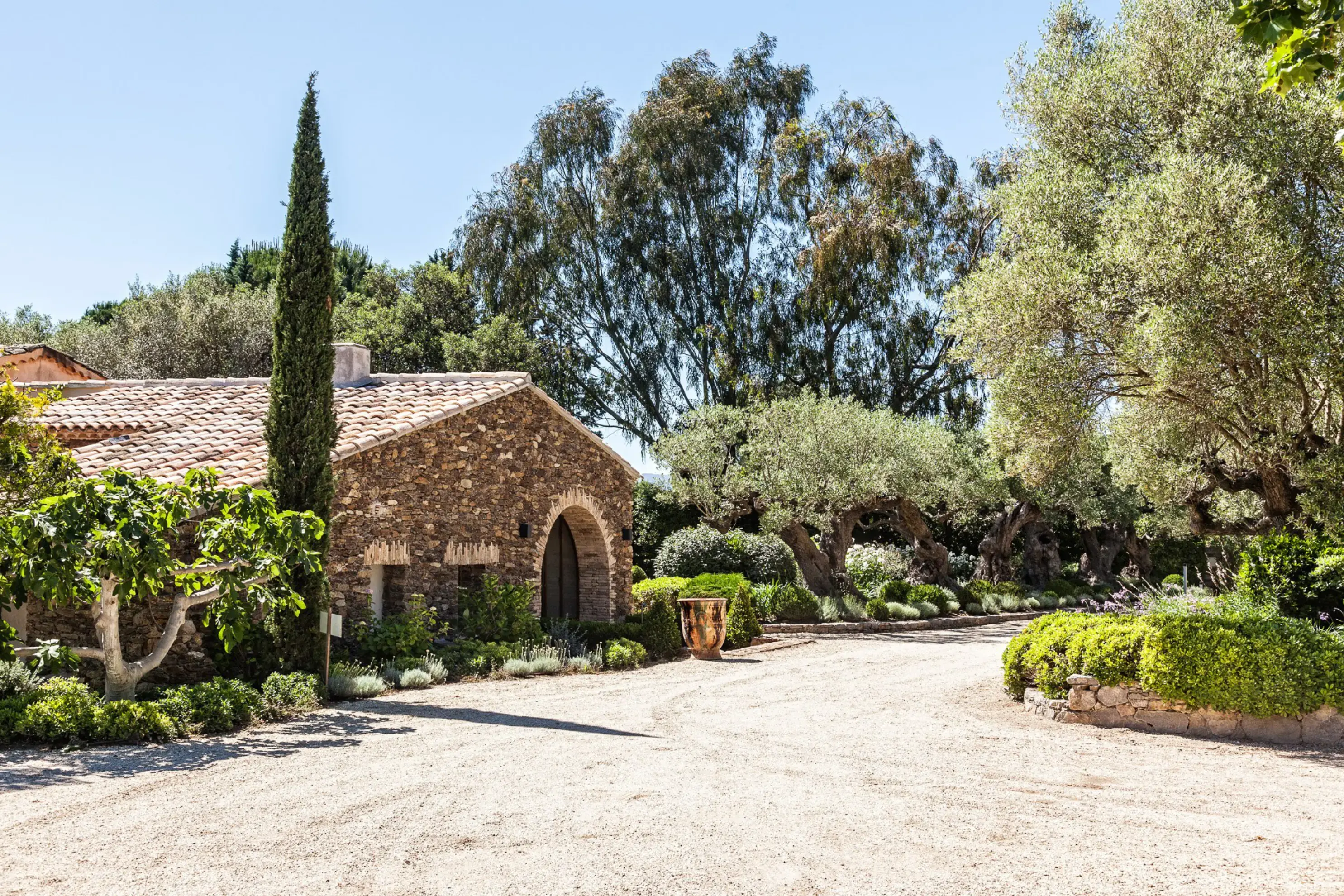 Domaine Les Mésanges - GASSIN (Var)