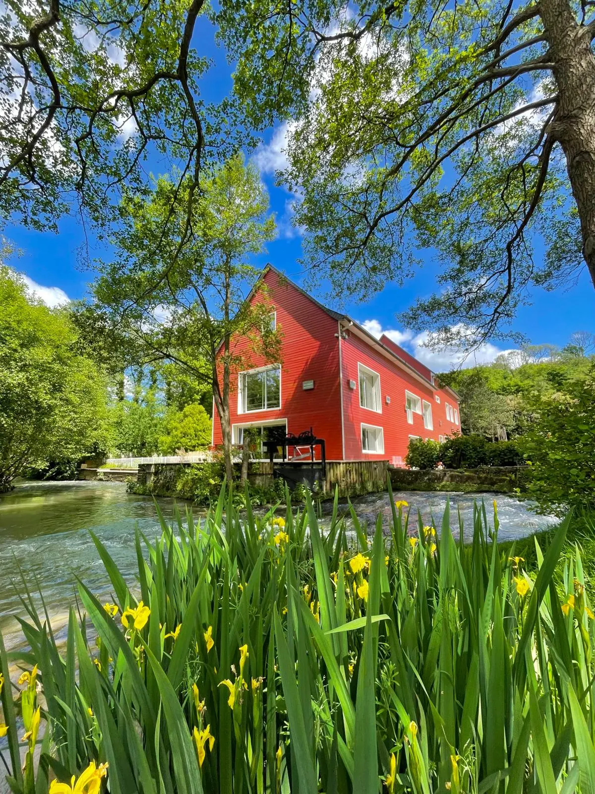 ScieSea - SAINT-AUBIN-SUR-SCIE (Seine-Maritime)