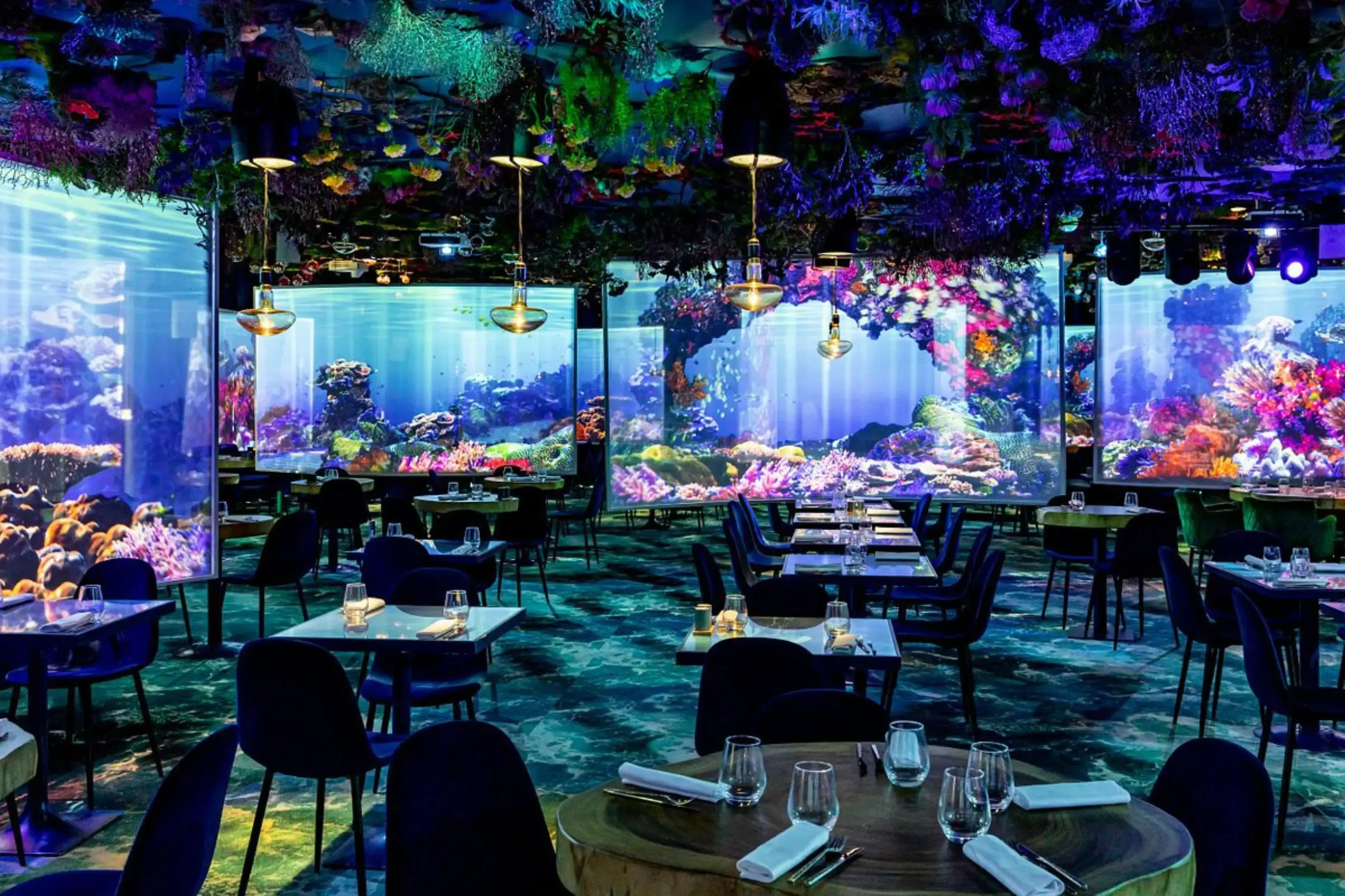 Under The Sea Restaurant - Ephemera - PARIS (Paris)