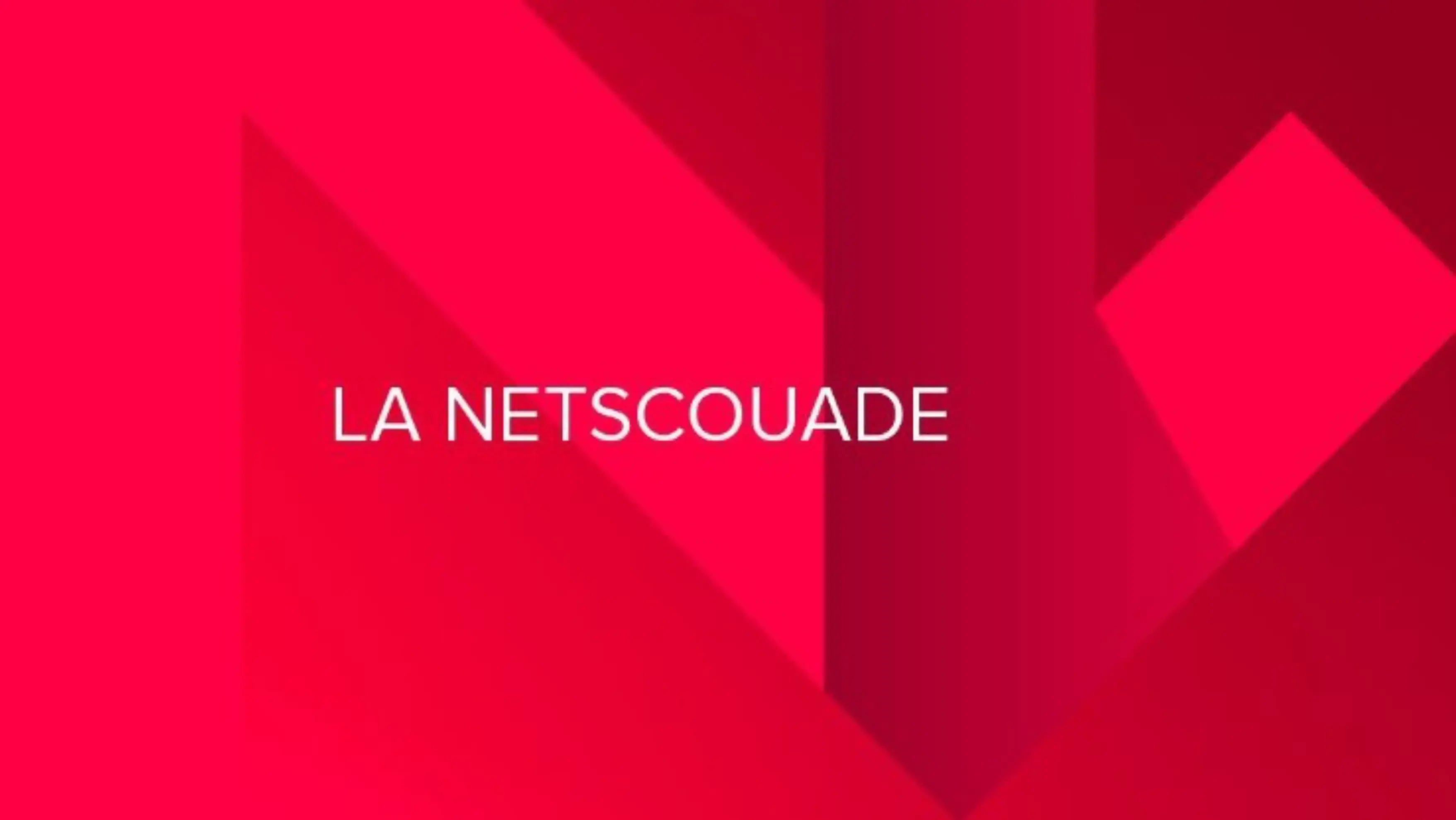 La Netscouade - PARIS (Paris)
