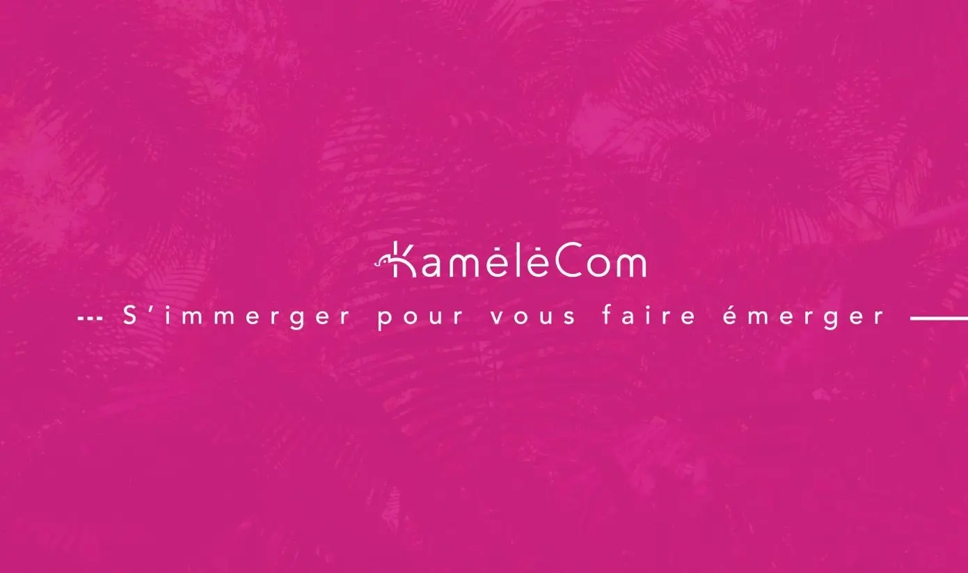 Kamélécom - FACHES-THUMESNIL (Nord)