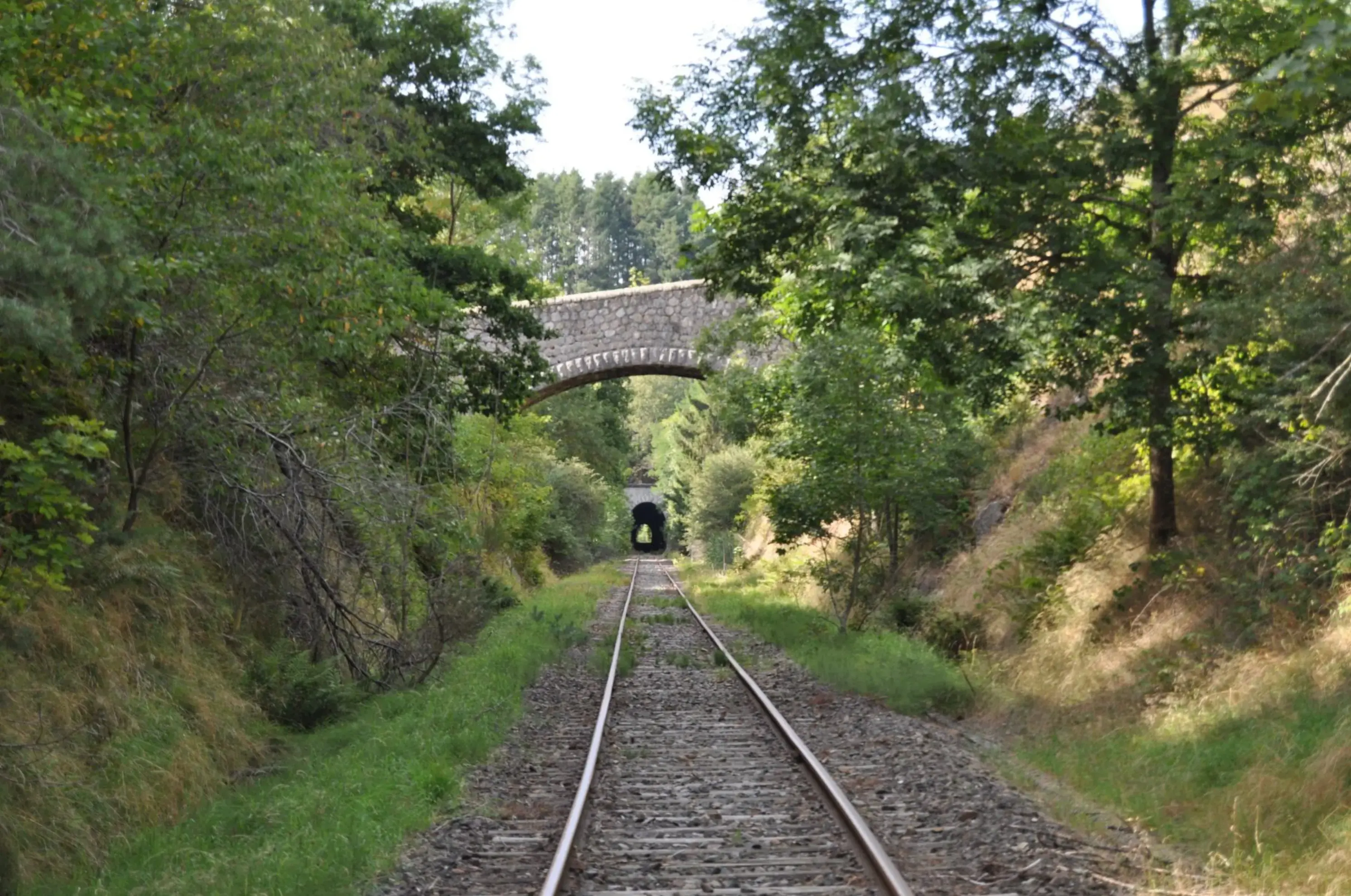 Vélorail du Velay - DUNIÈRES (Haute-Loire)