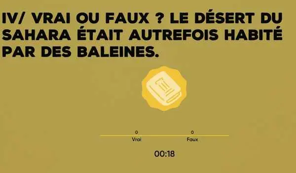 Genial Pursuit : Testez votre culture générale - BOULOGNE-BILLANCOURT (Hauts-de-Seine)