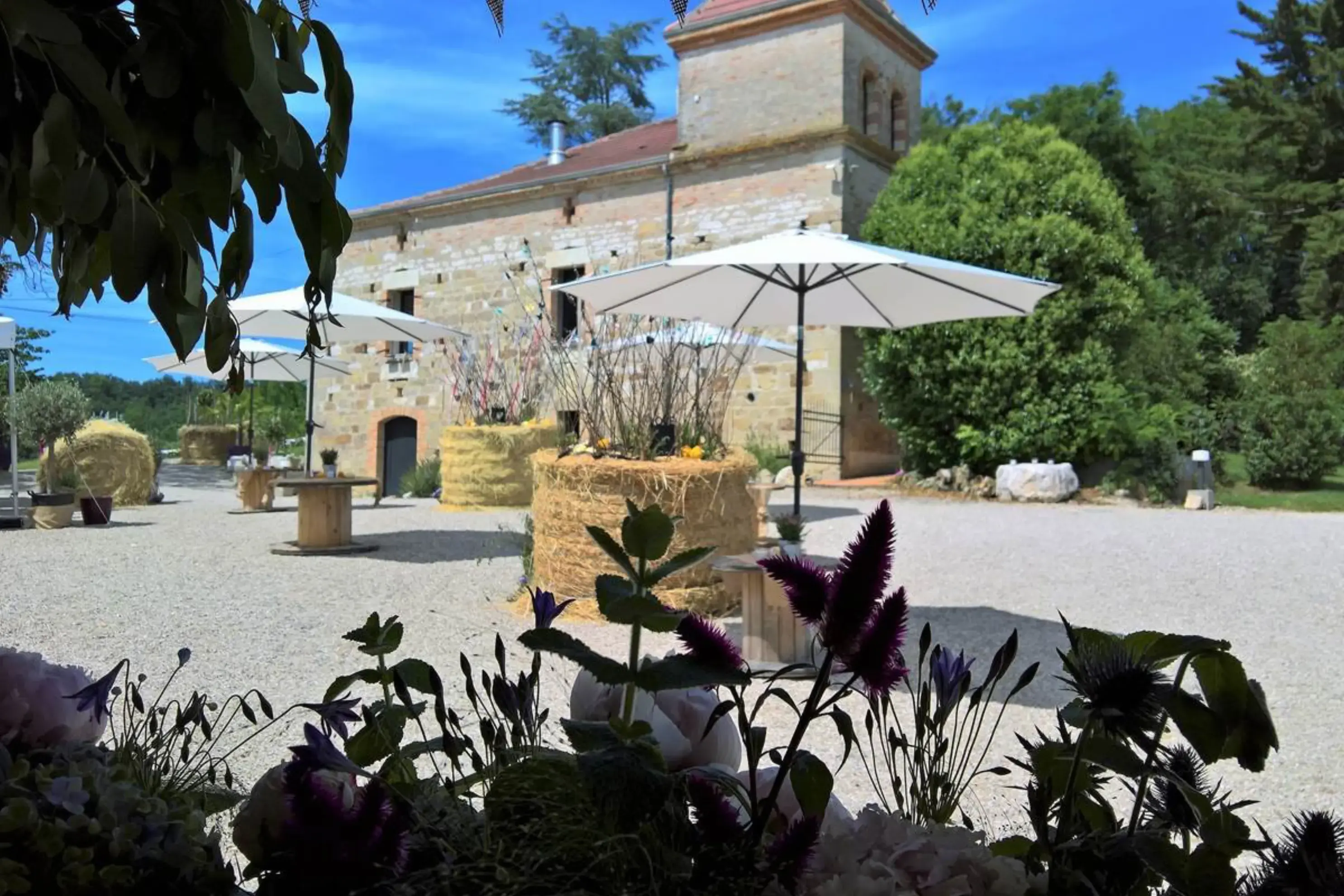 Domaine de Massoulac - MOLIÈRES (Tarn-et-Garonne)