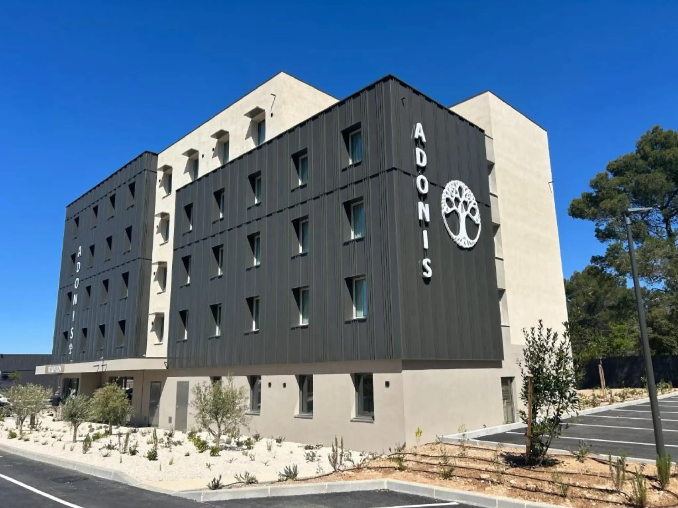 Adonis le Castellet - SIGNES (Var)