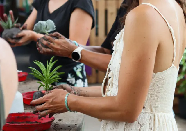 Atelier Kokedama - ANGLET (64)