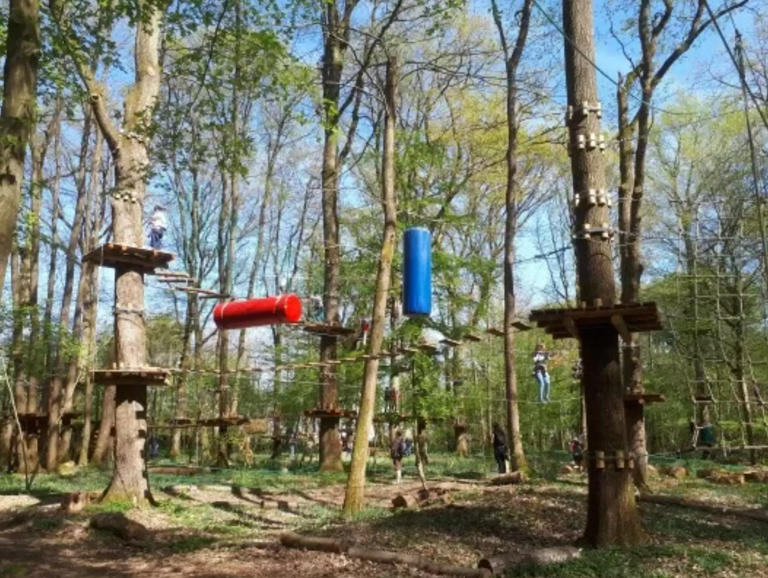 Forest Arena - CESSON (Seine-et-Marne)