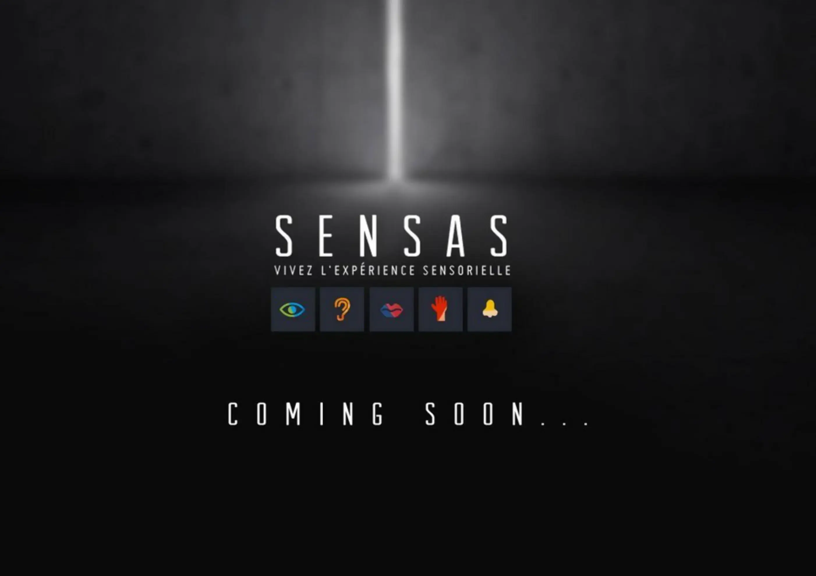 Sensas Nantes - SAINT-SÉBASTIEN-SUR-LOIRE (Loire-Atlantique)