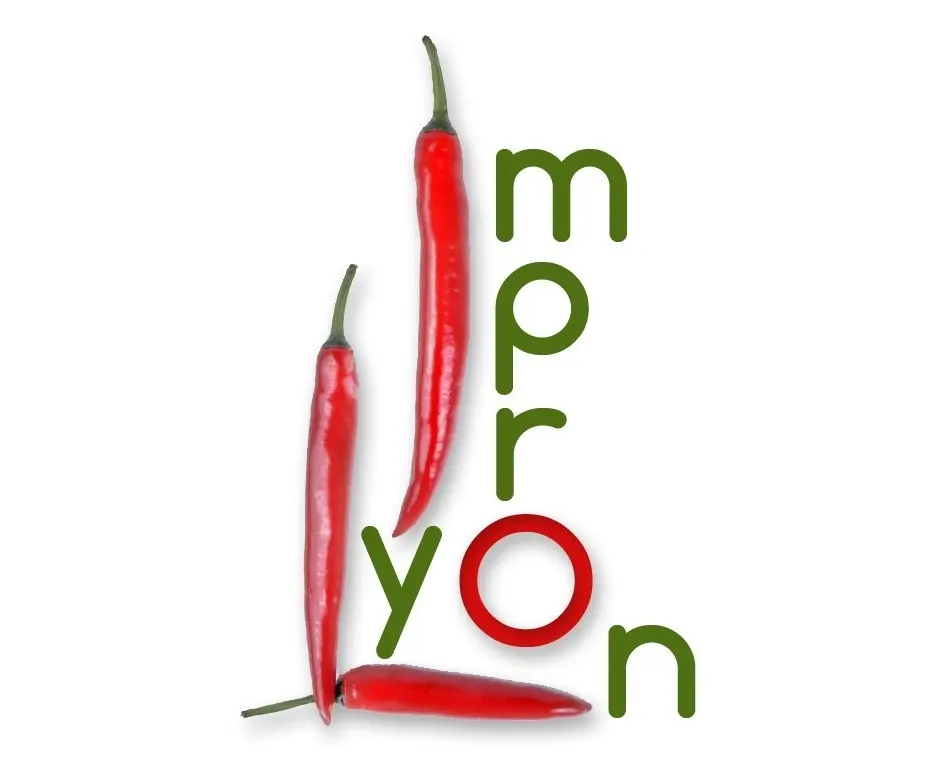 François STRAGIER EI - Improlyon - LYON (Rhône)