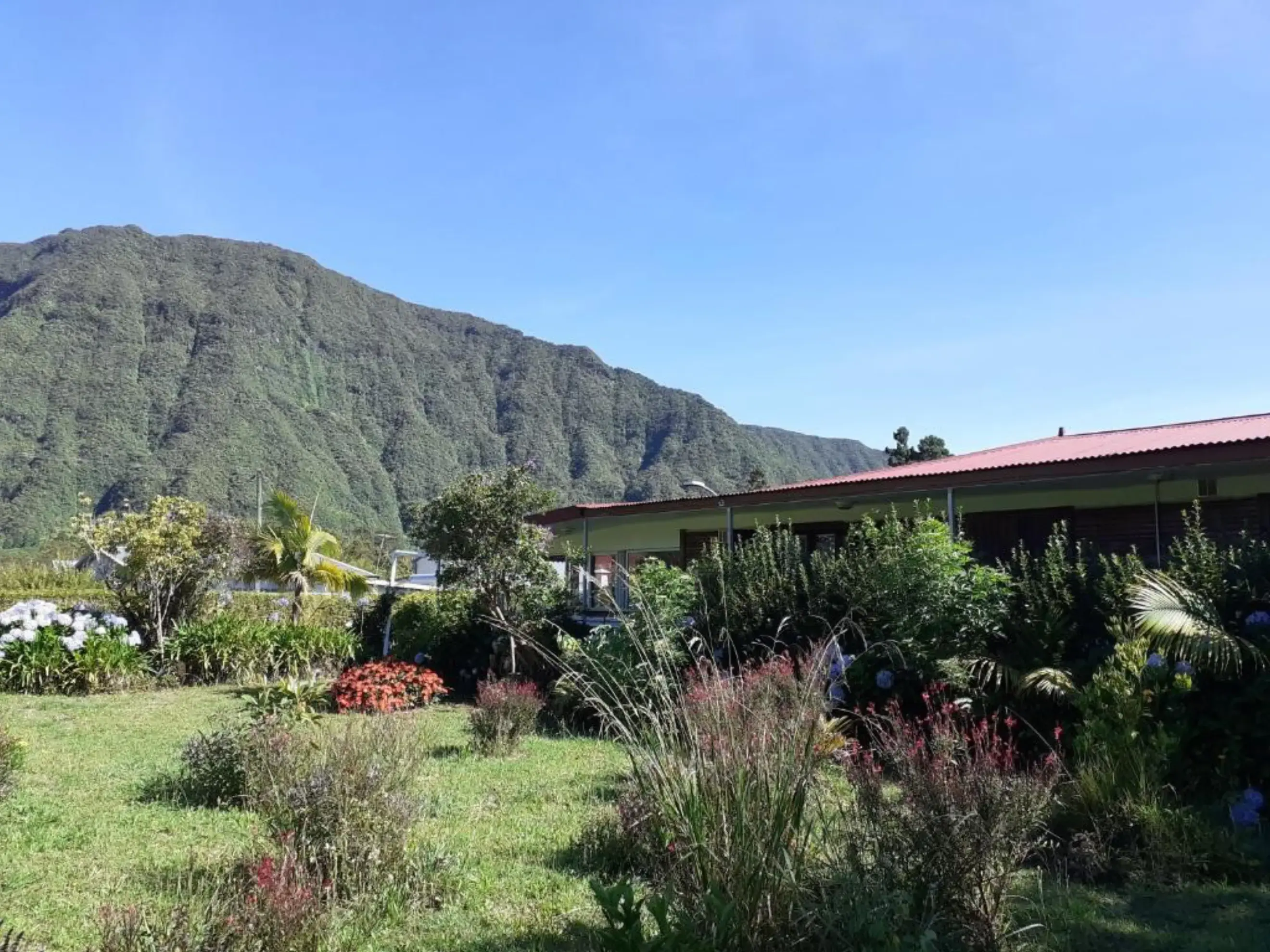 Le Clos des Mimosas - PLAINE-DES-PALMISTES (La Réunion)