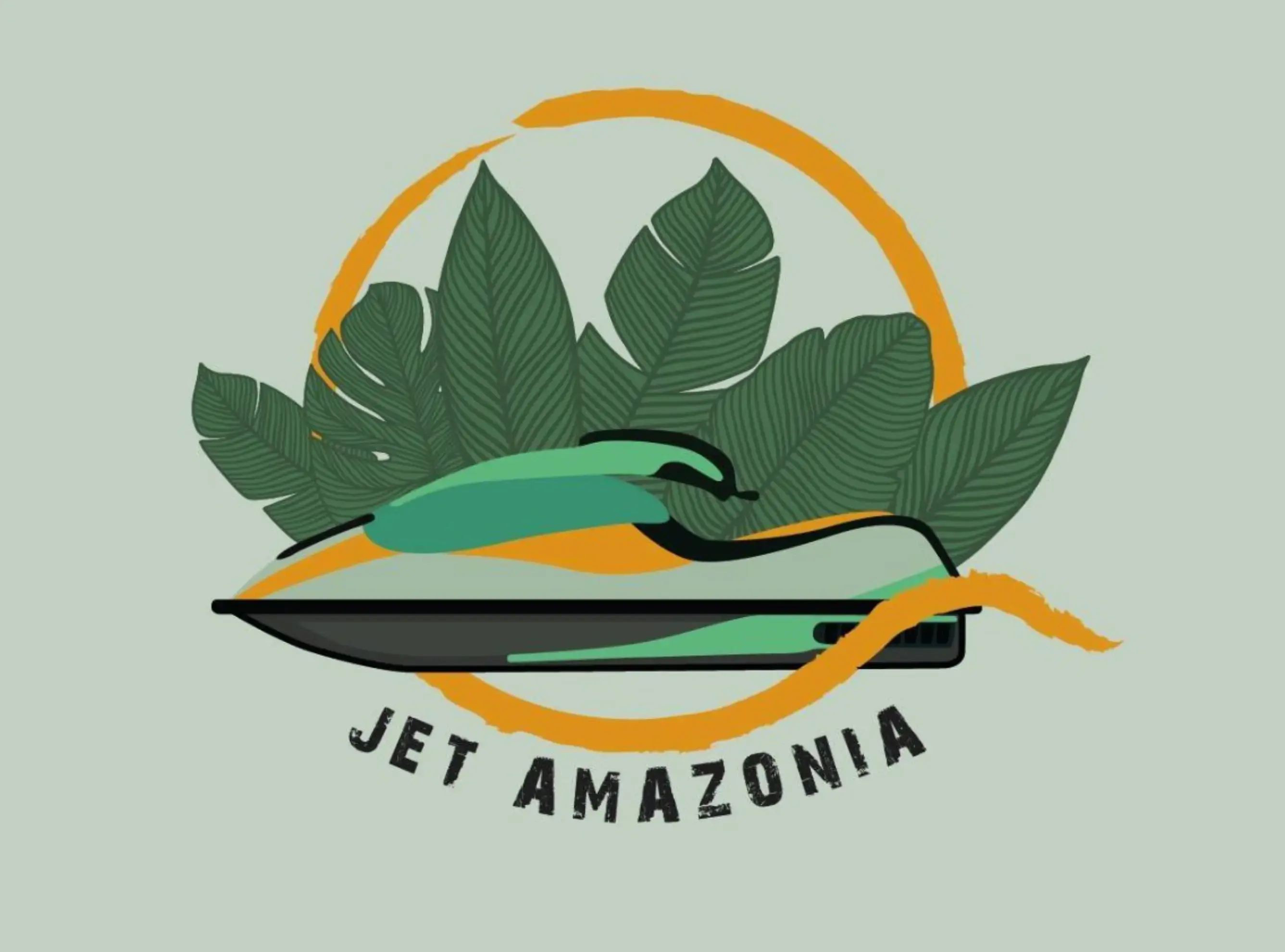 Jet Amazonia - Montsinéry-Tonnegrande (Guyane)