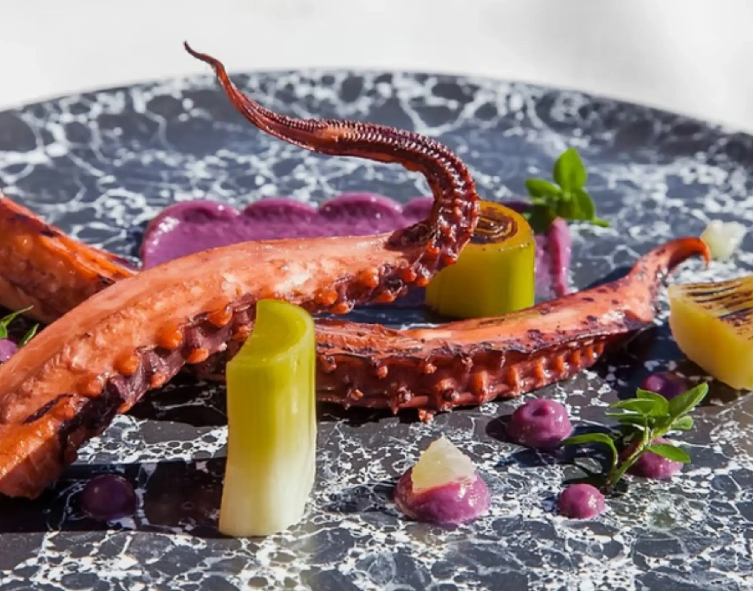 Stéphane Bourekba - Chef Privé - BOUCHET (Drôme)