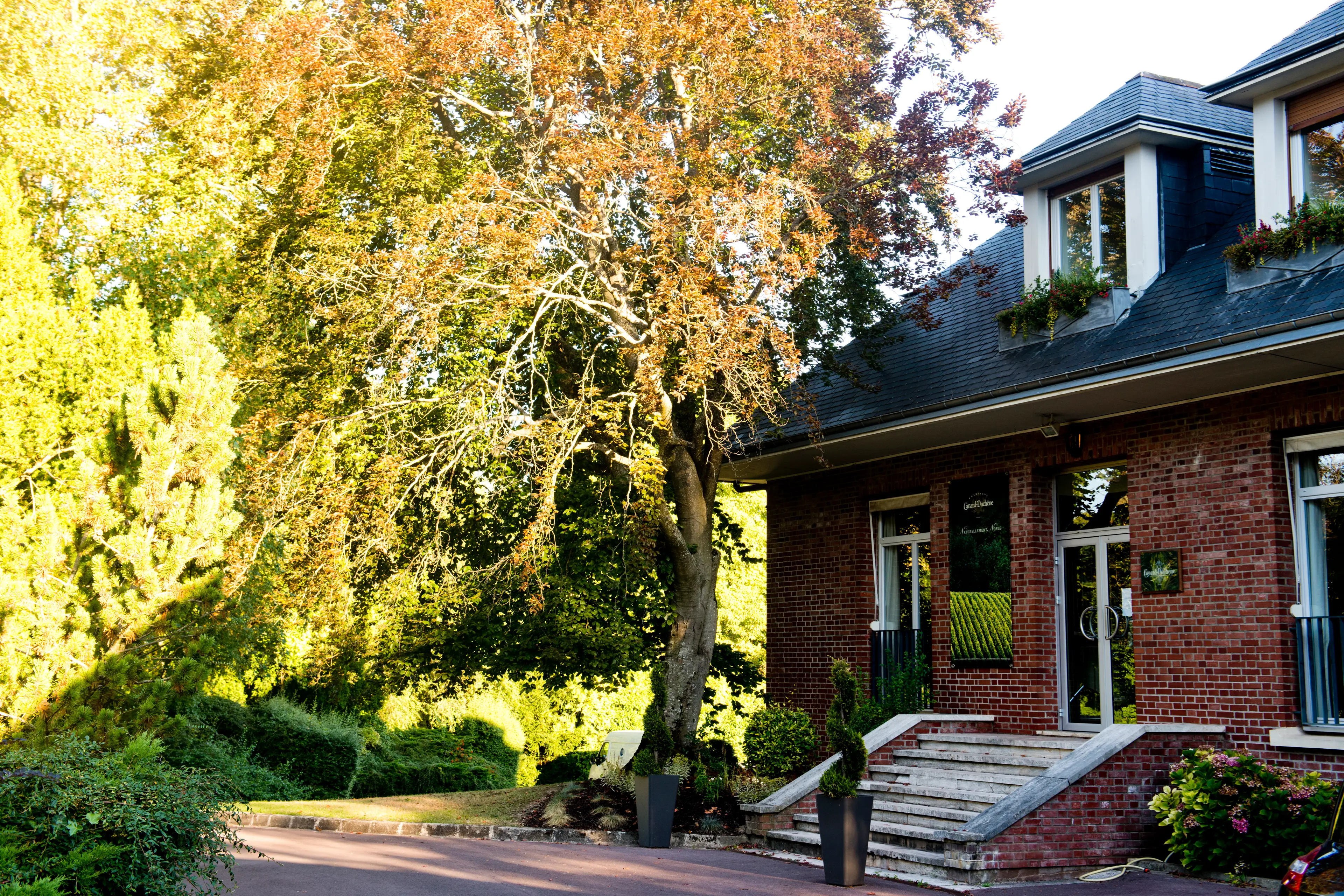 Champagne Canard-Duchêne - LUDES (Marne)