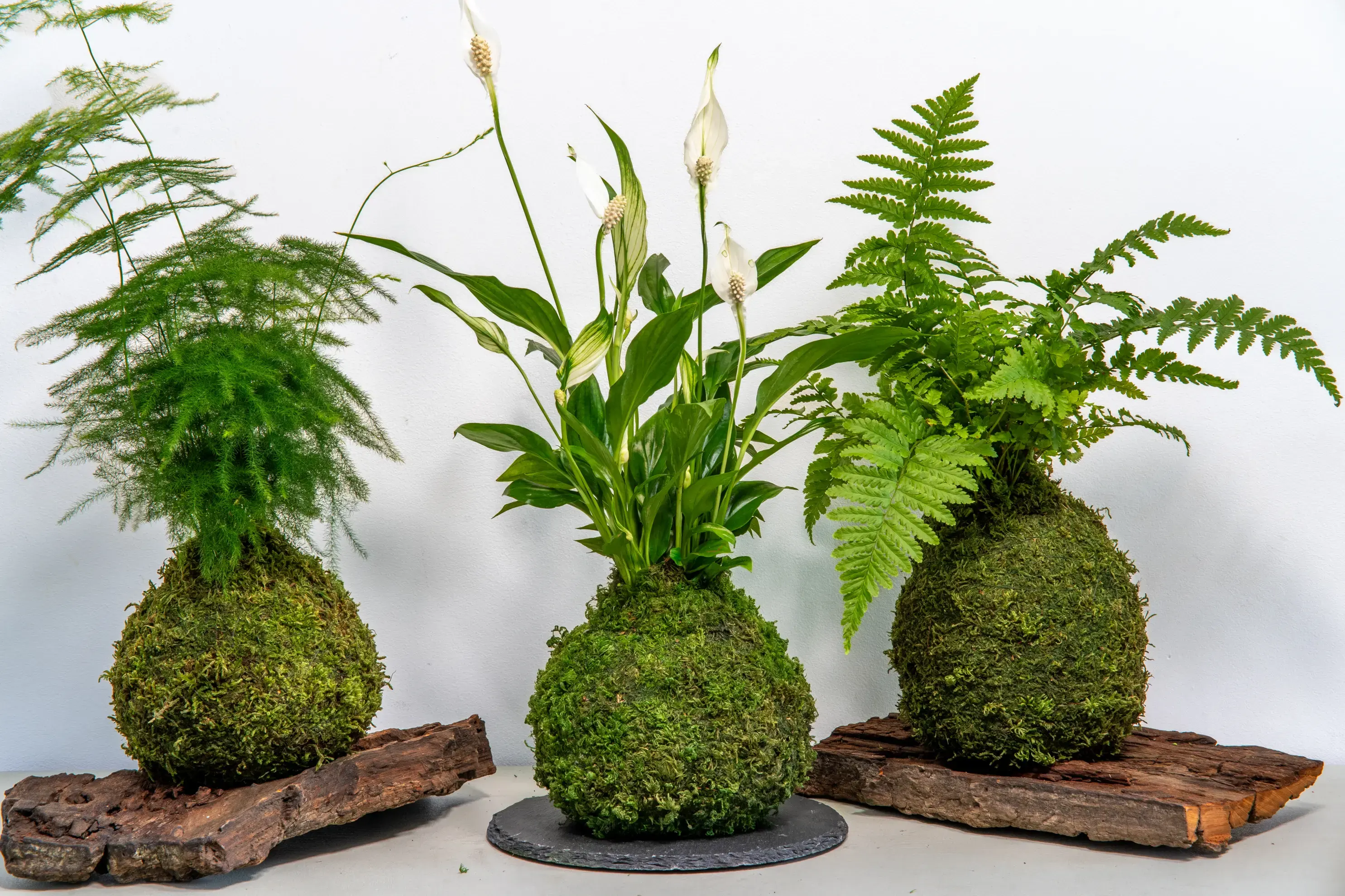 L'Atelier d'Ondine / Annabelle Nature - NANTES (Loire-Atlantique)