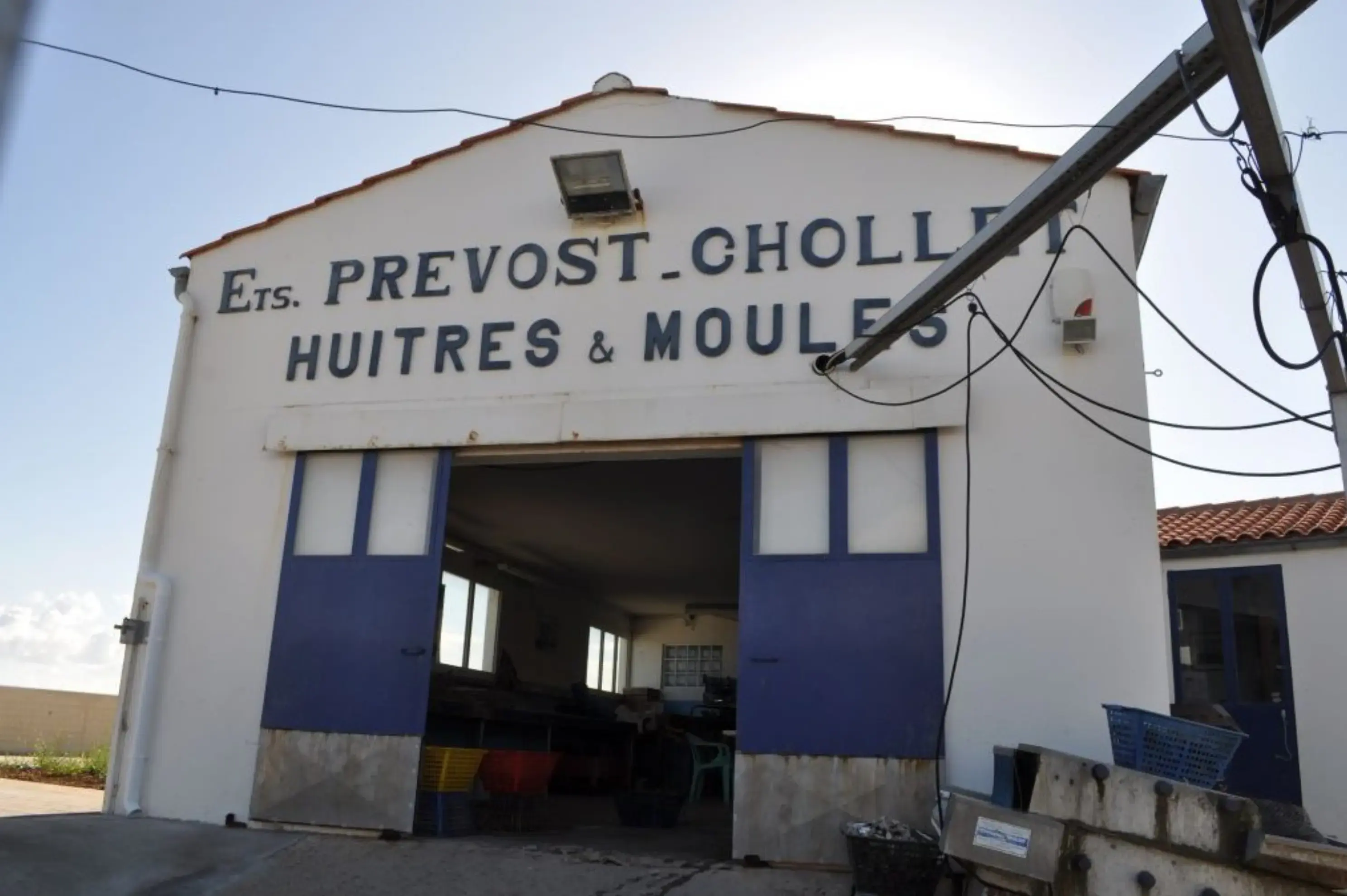 Huitres Prevost-Chollet - YVES (Charente-Maritime)