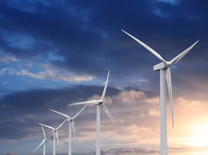 Viseol - La Chapelle-des-Marais (Loire-Atlantique)