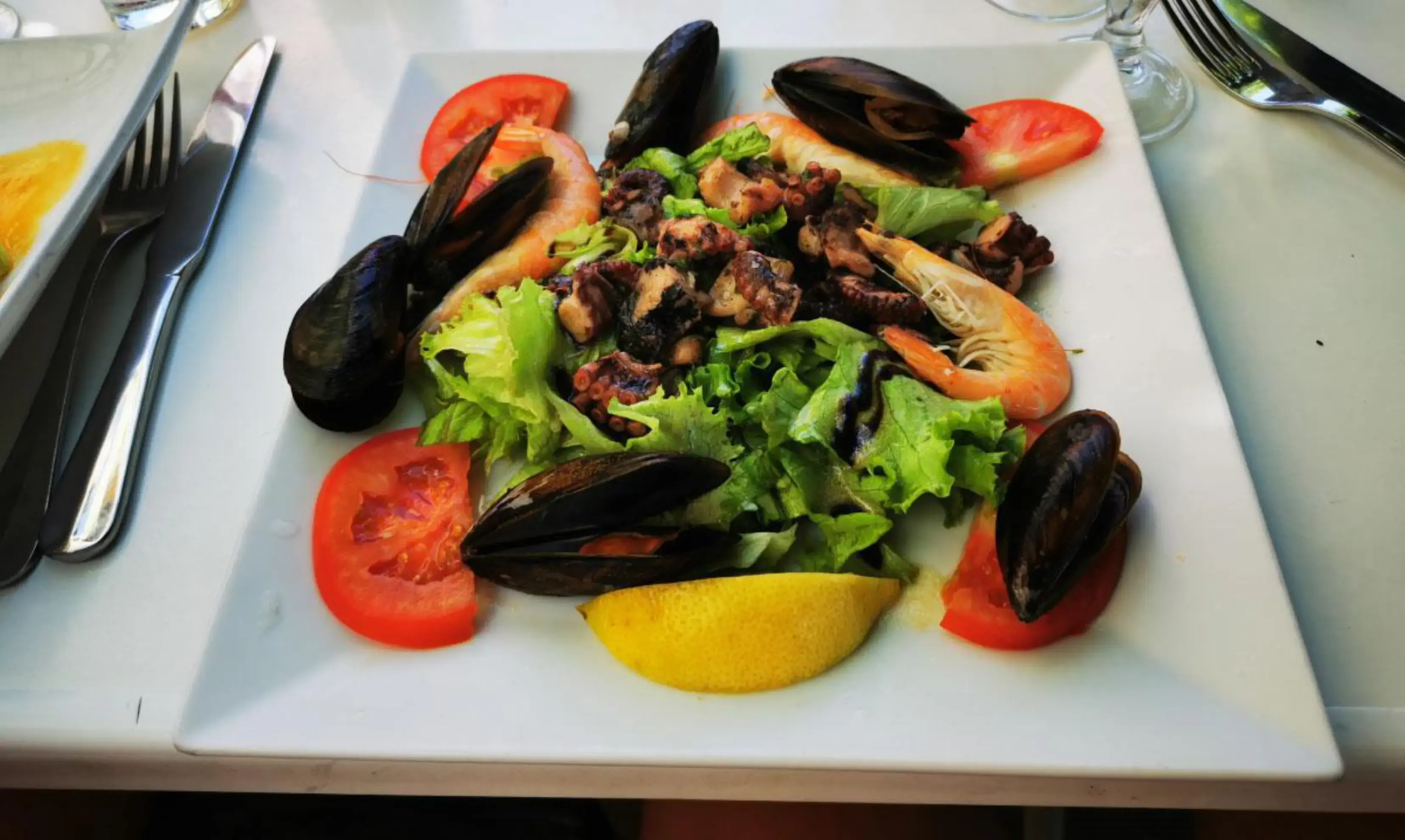 Le Dauphin - MARSEILLE (Bouches-du-Rhône)