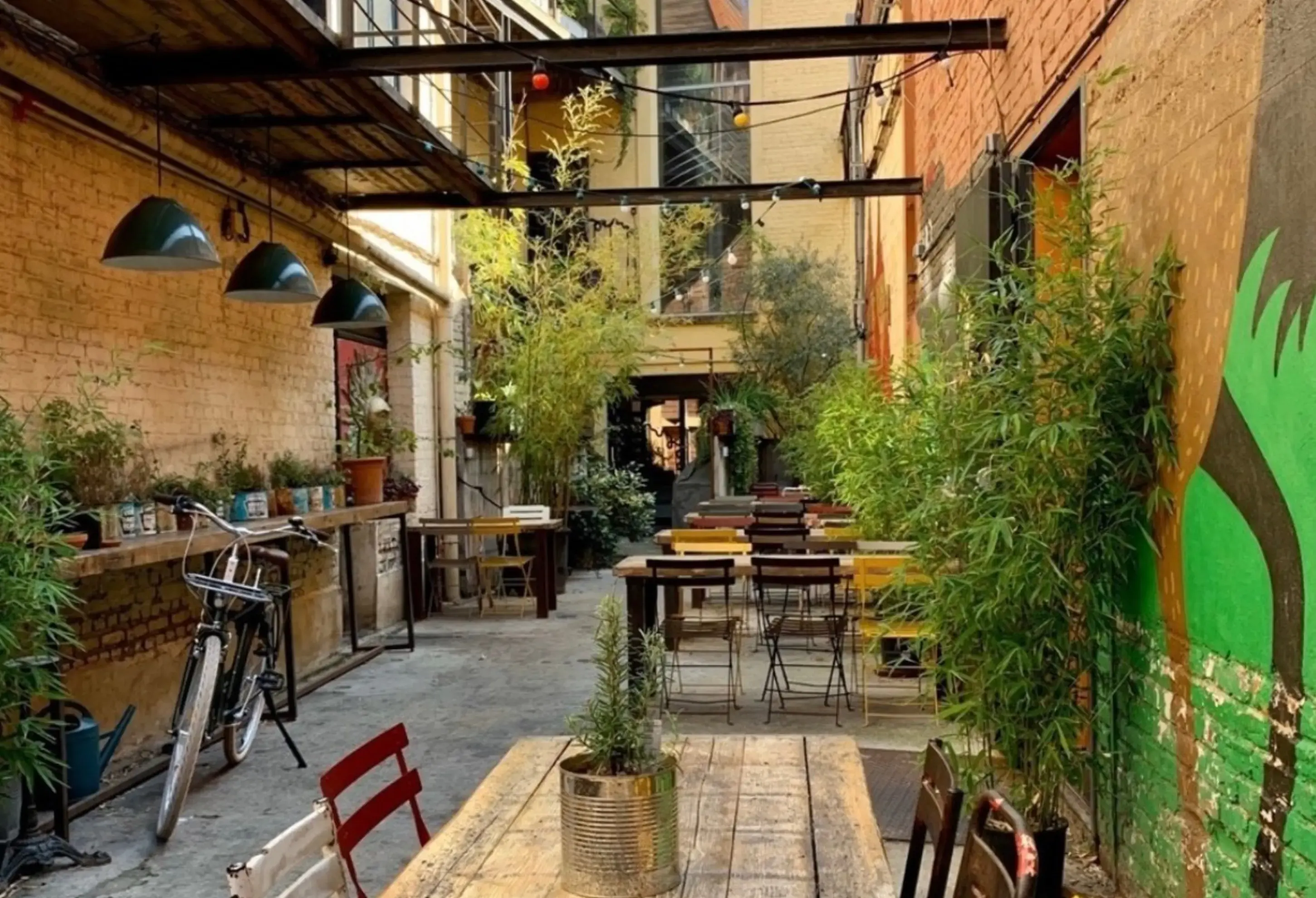 La Luck Lille - LILLE (Nord)