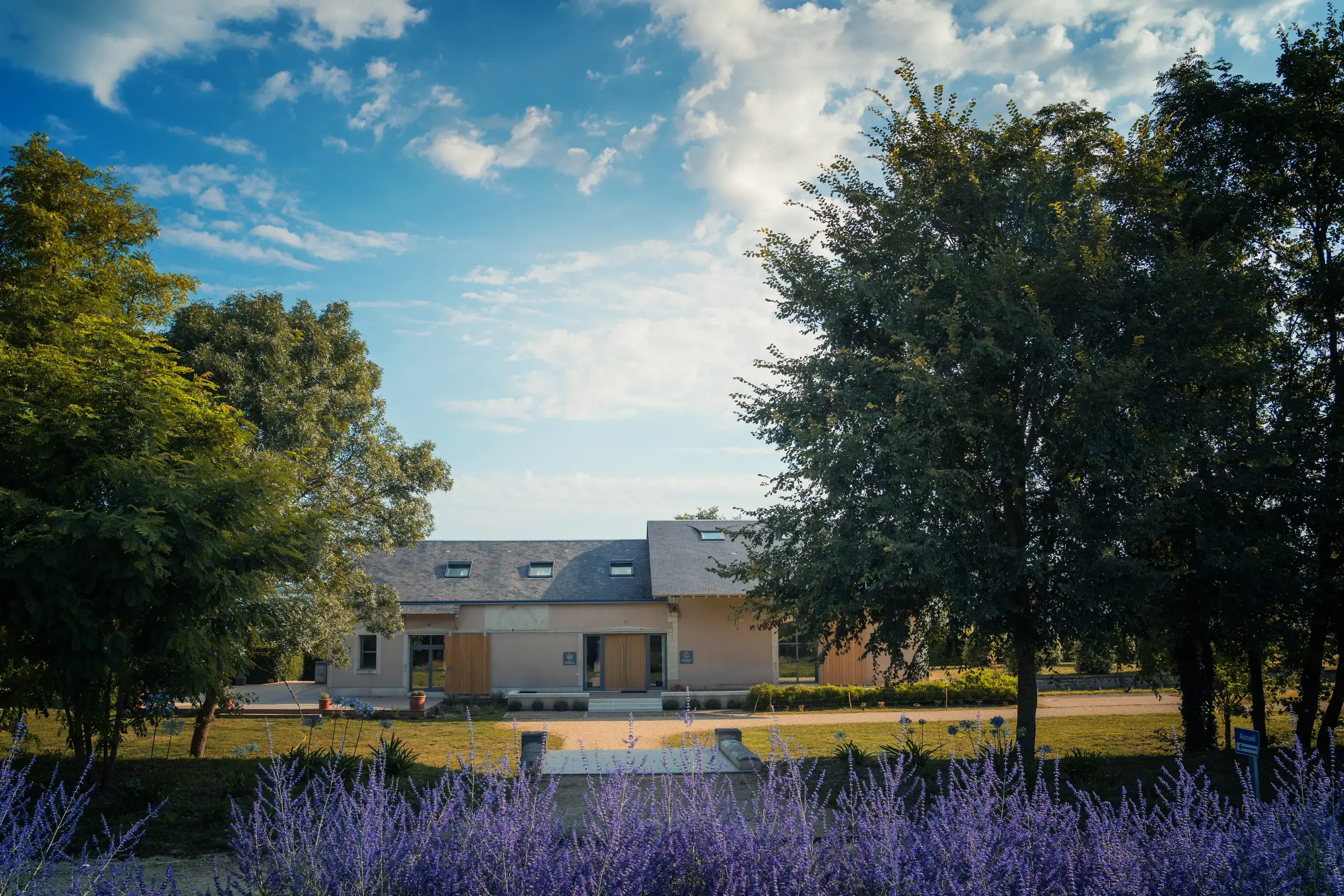 Domaine du Moribot - Ligré (Indre-et-Loire)