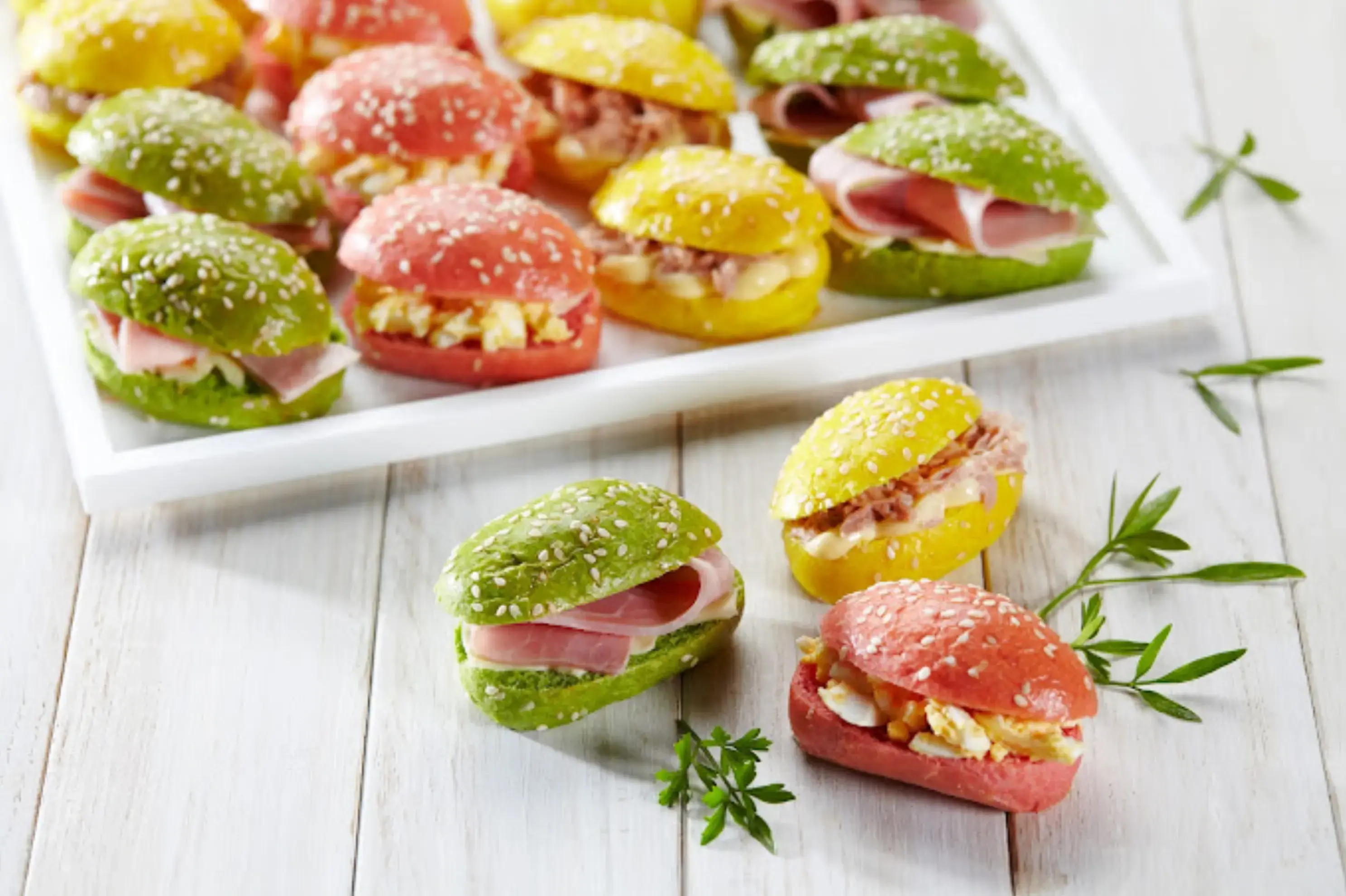 Tout et Bon Bordeaux Lac - BORDEAUX (Gironde)