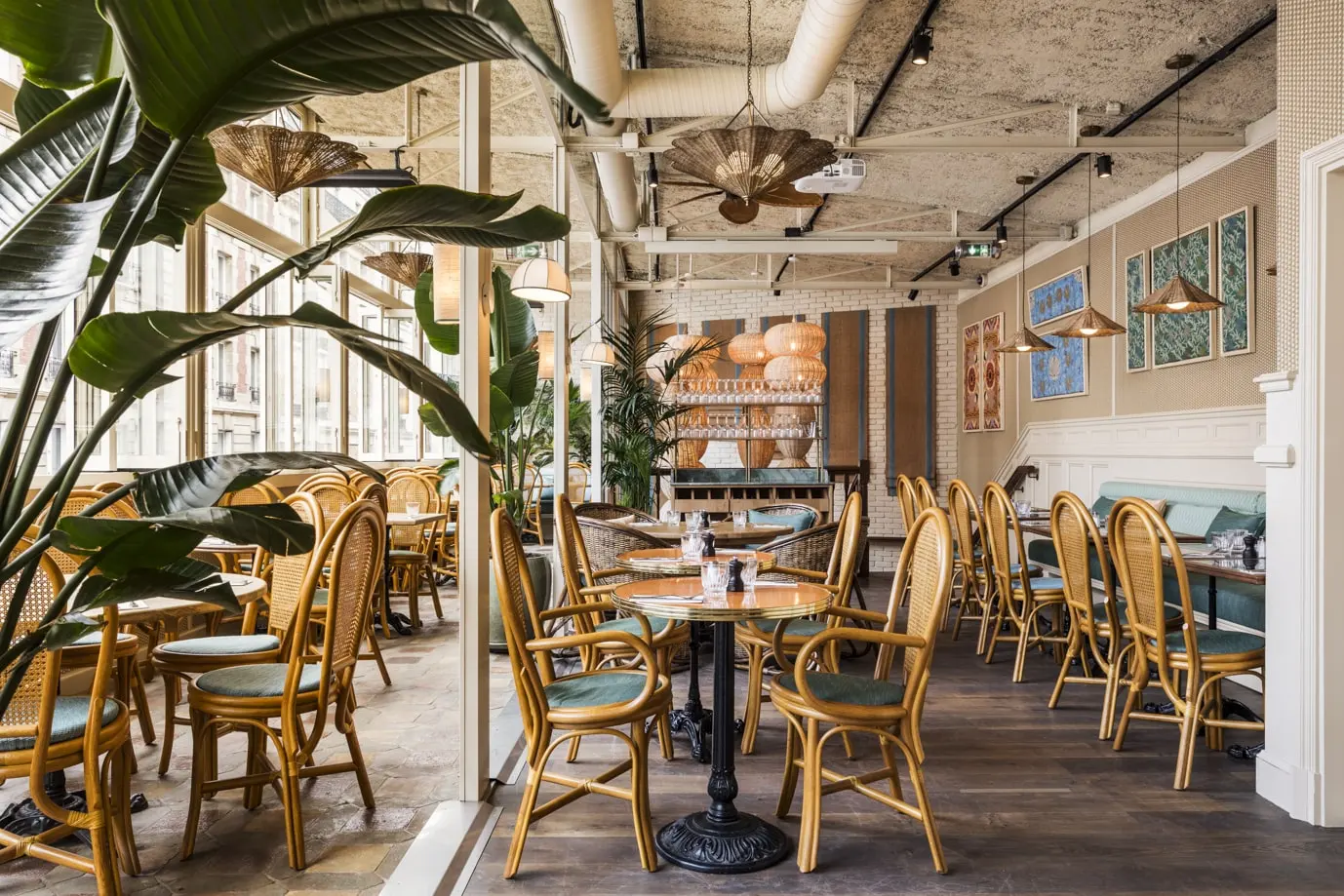 Amanie - PARIS (Paris)