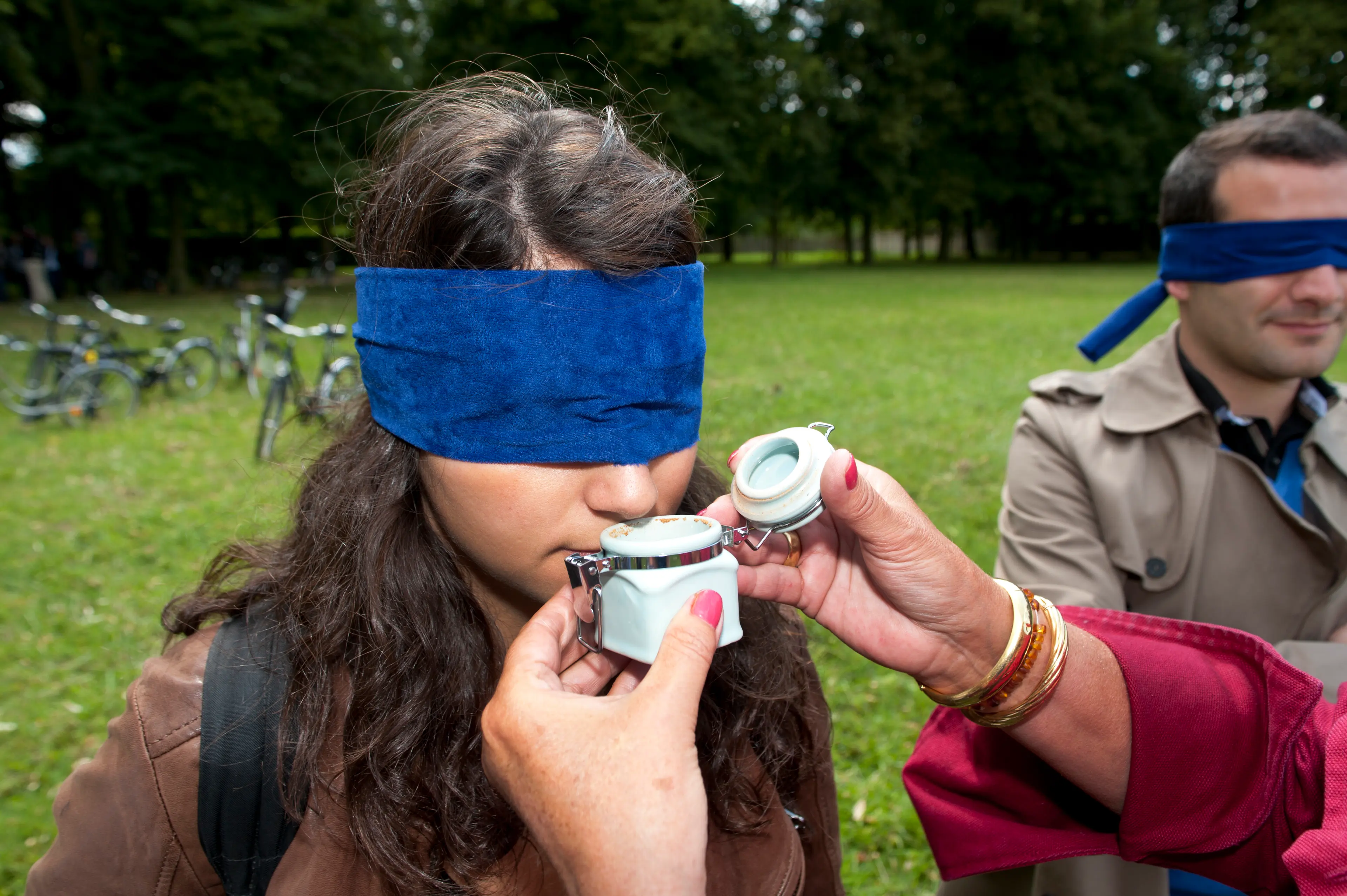 Versailles Activity Event - SAINT-GERMAIN-EN-LAYE (Yvelines)