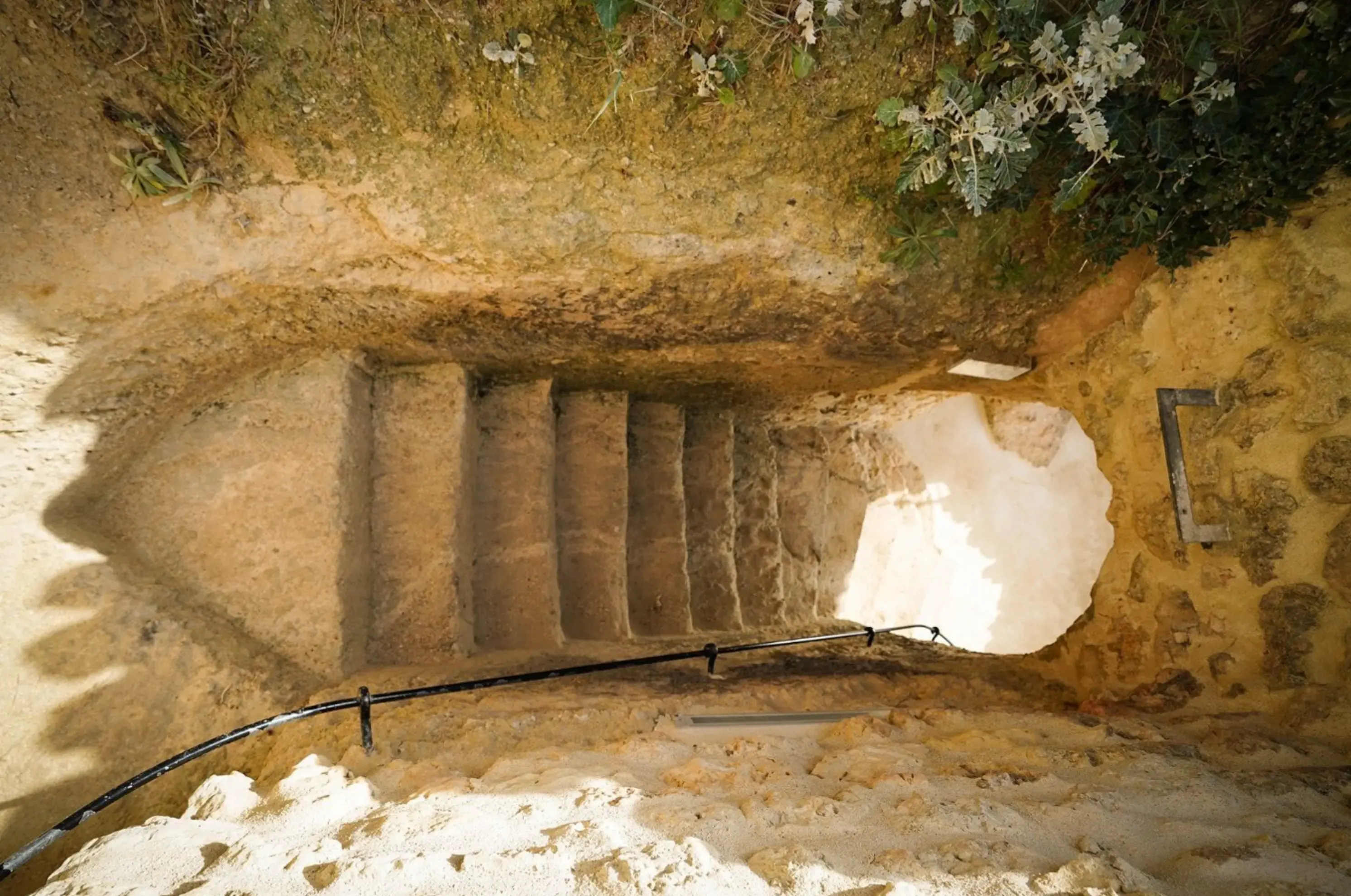 Grottes du Régulus - MESCHERS-SUR-GIRONDE (Charente-Maritime)